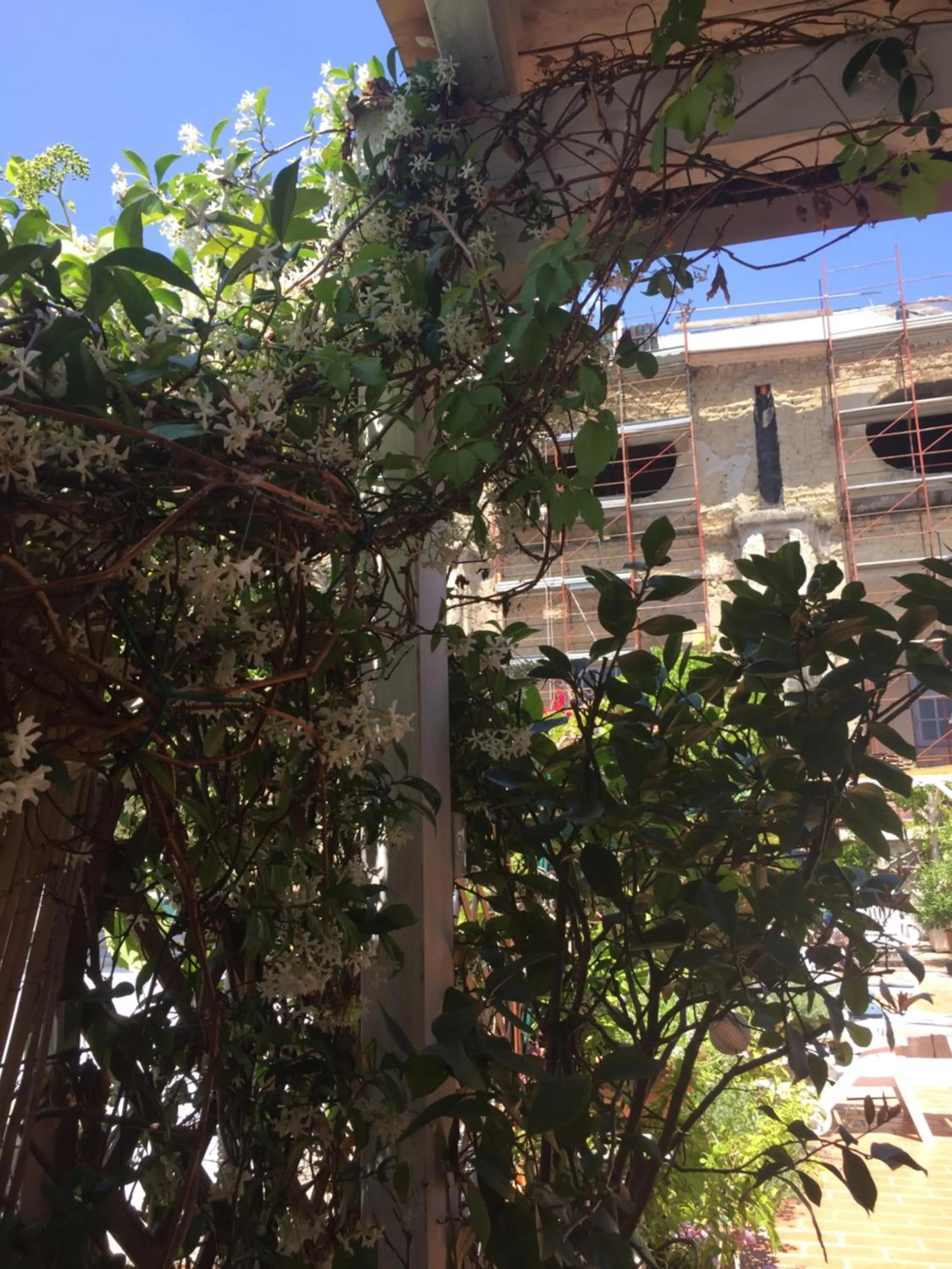 B&B La Terrazza Napoli