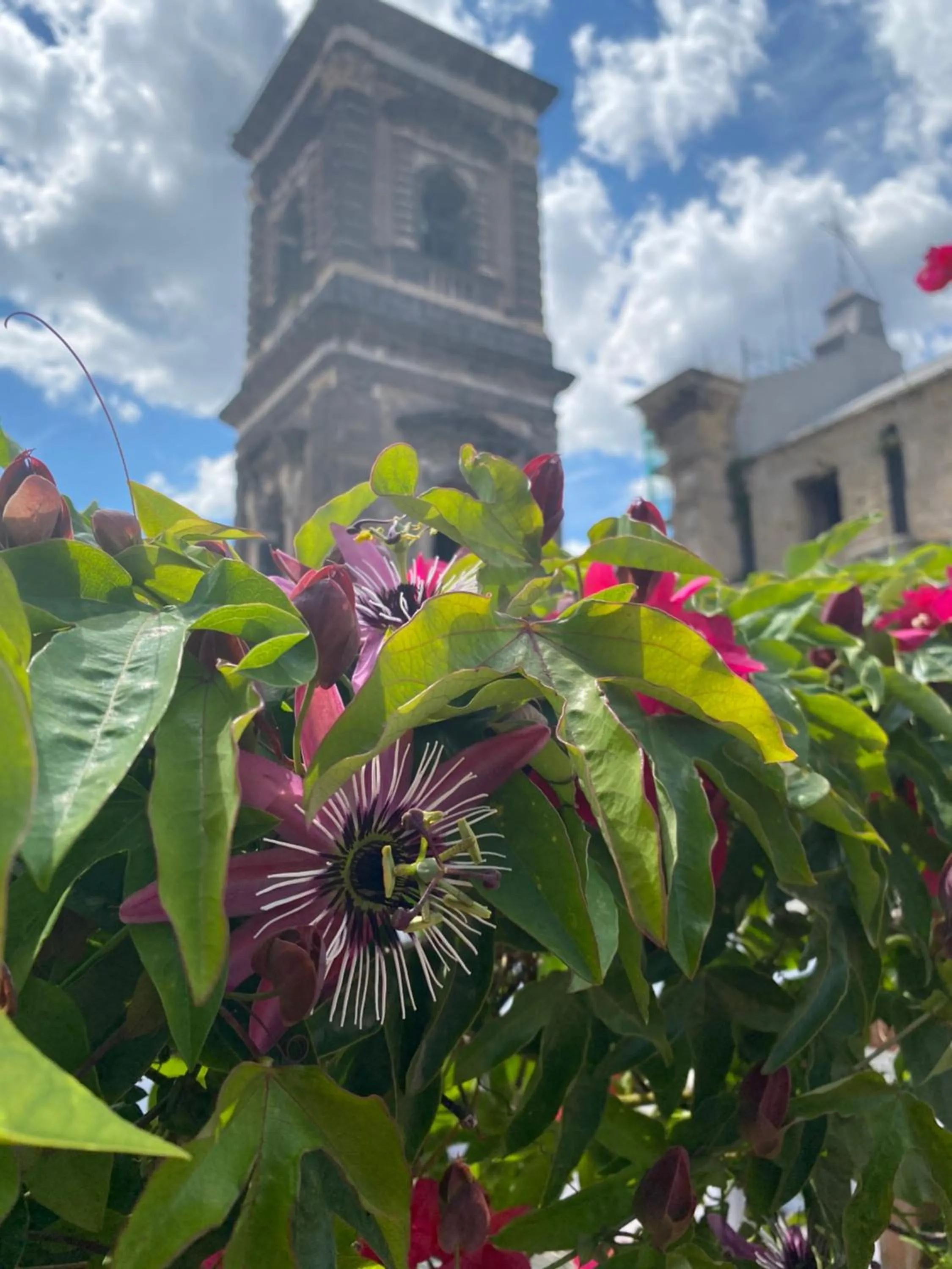 B&B La Terrazza Napoli