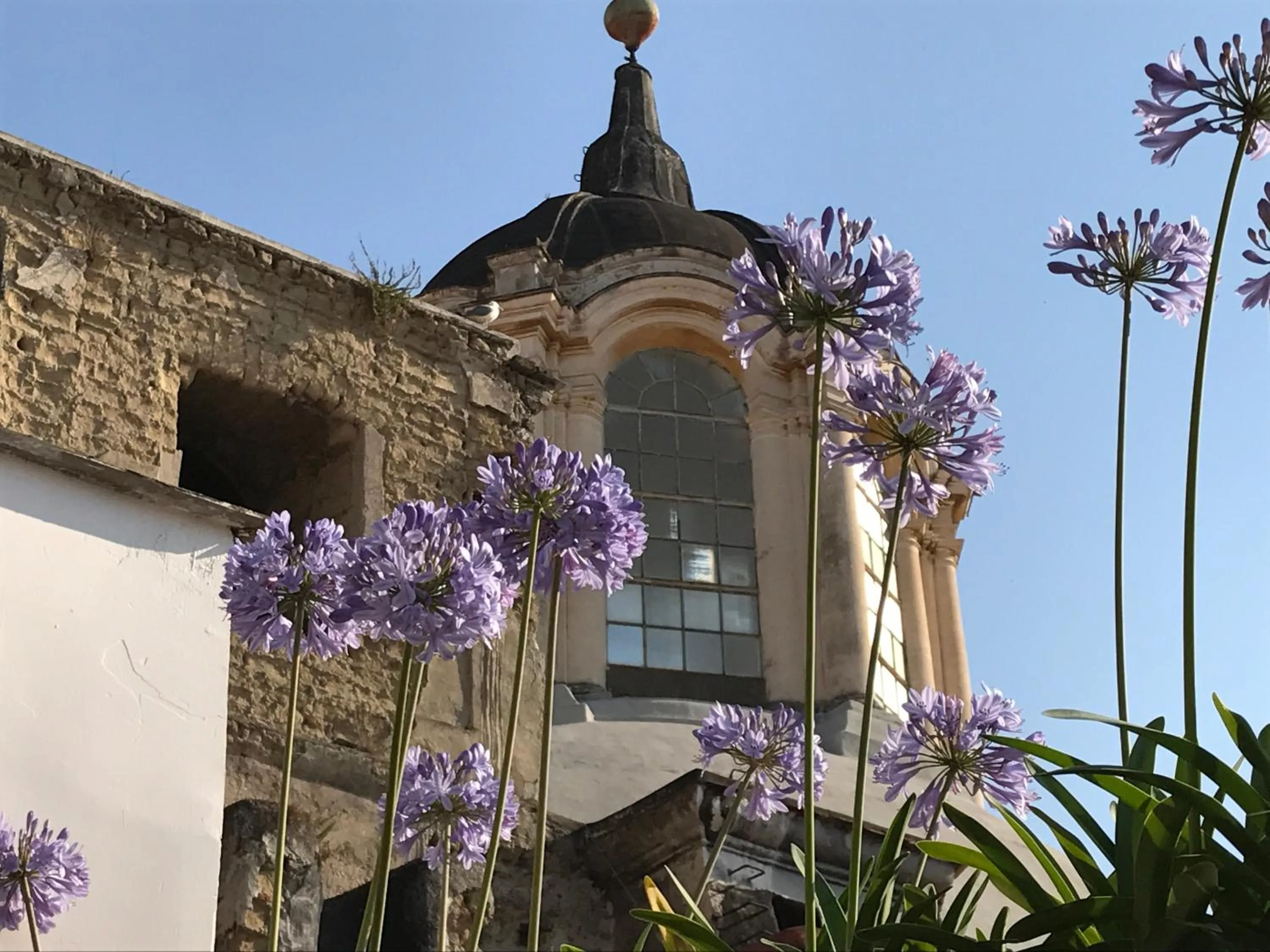 B&B La Terrazza Napoli