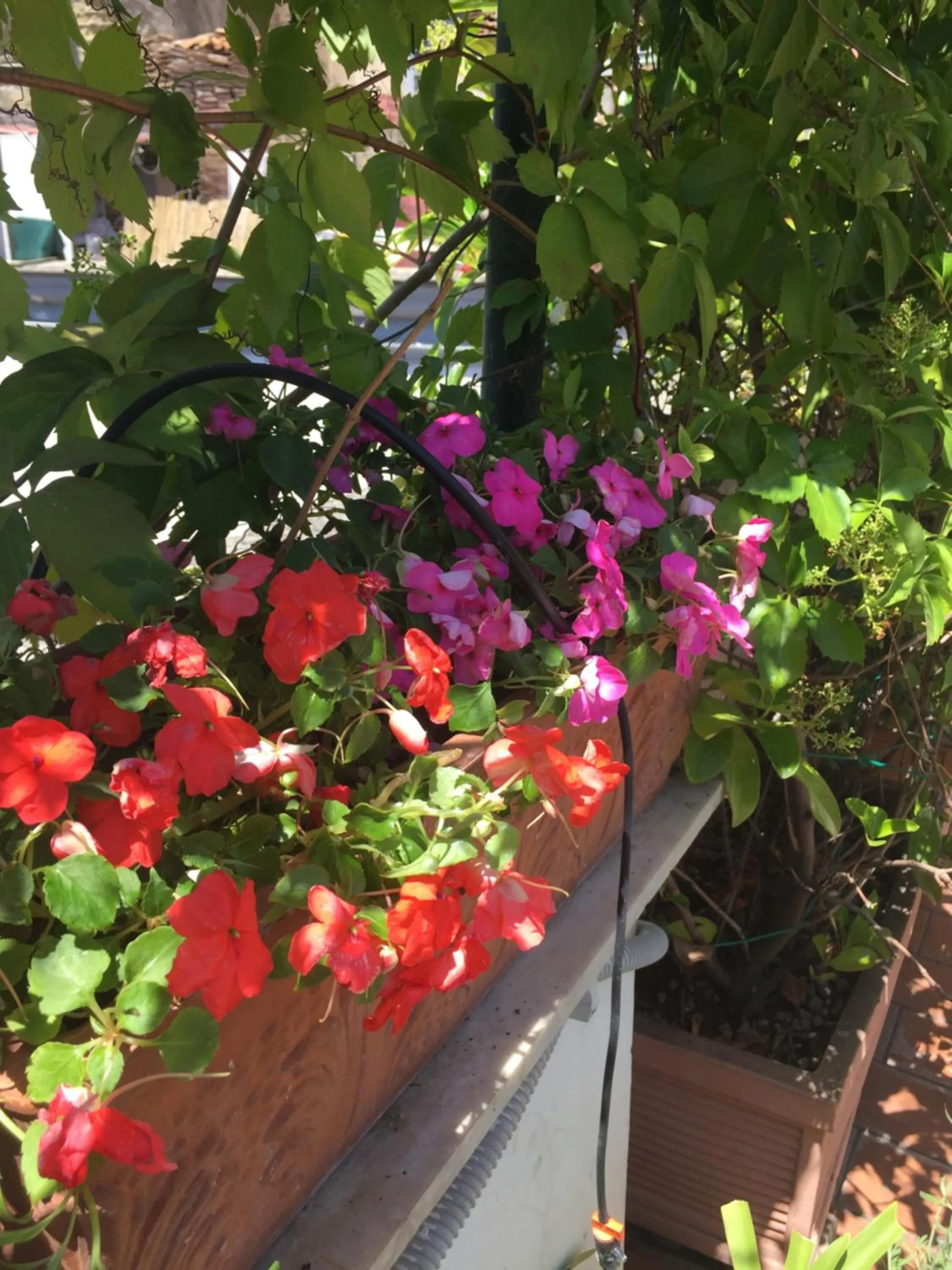 B&B La Terrazza Napoli