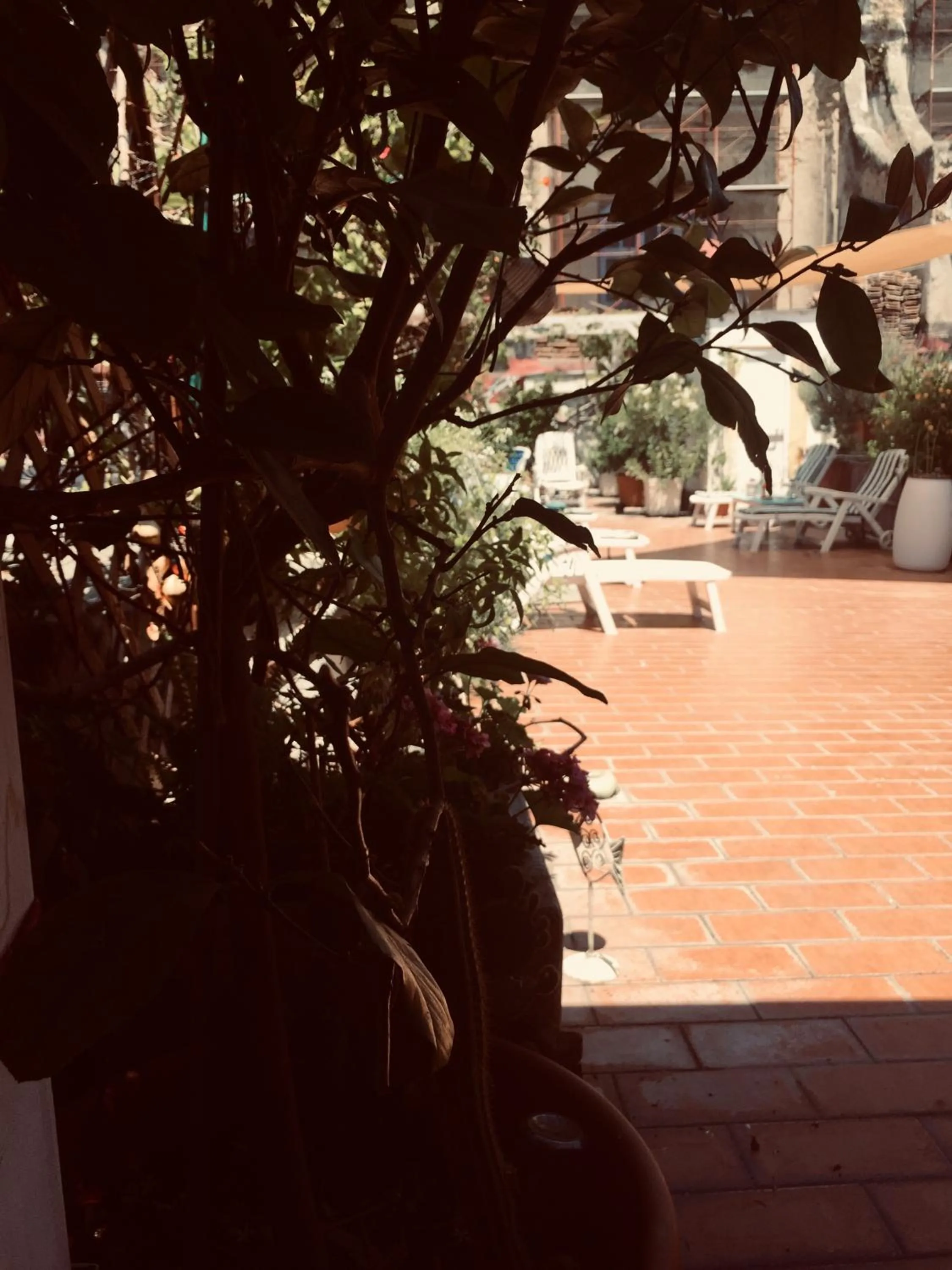 B&B La Terrazza Napoli