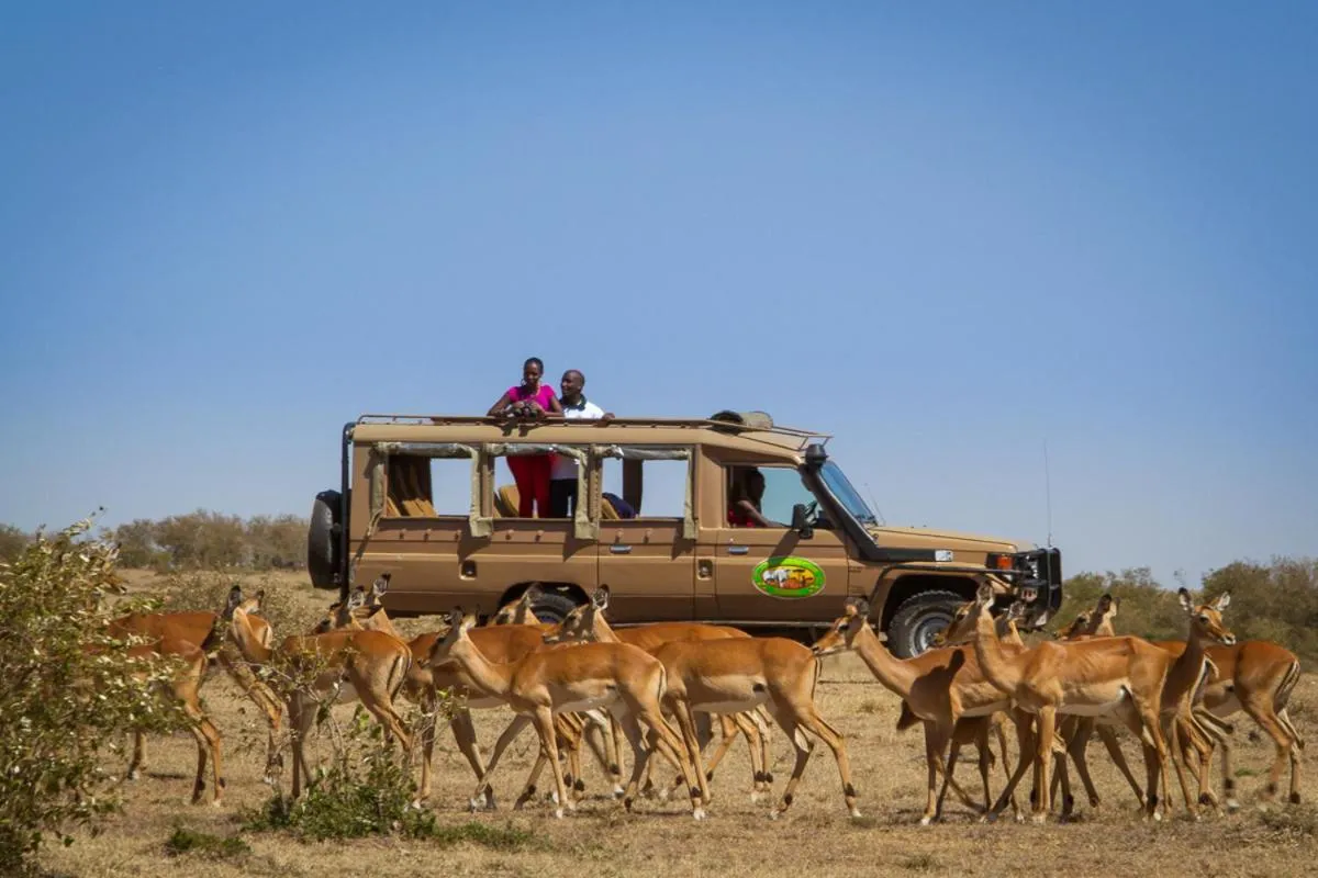 Animals in Mara Leisure Camp