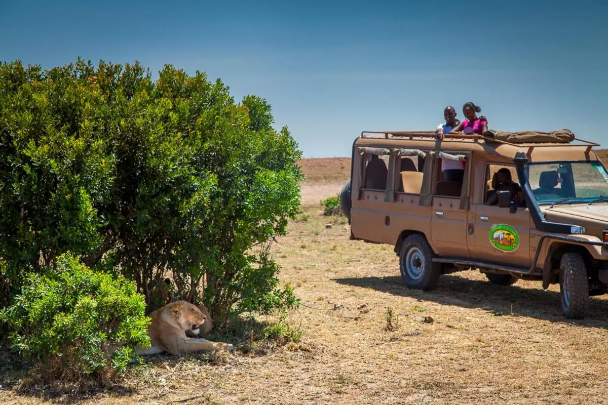 Animals in Mara Leisure Camp