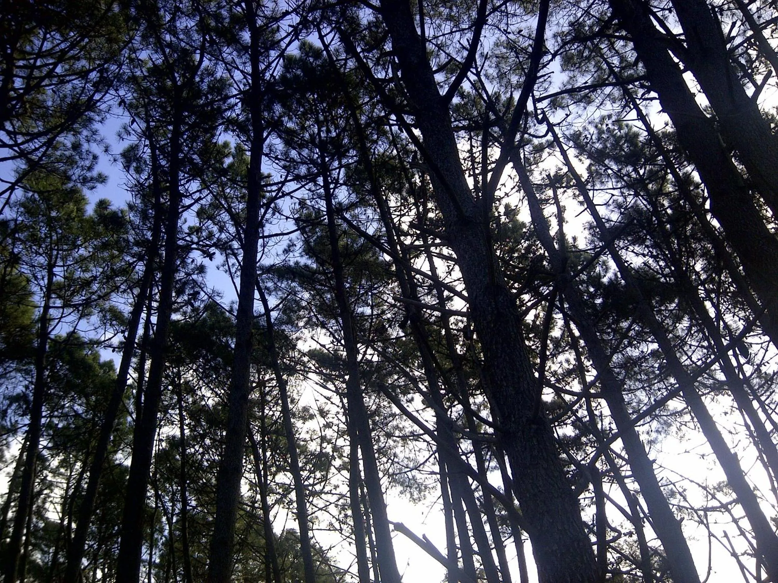 Nearby landmark in Altos Medanos Cabañas & Club de Bosque