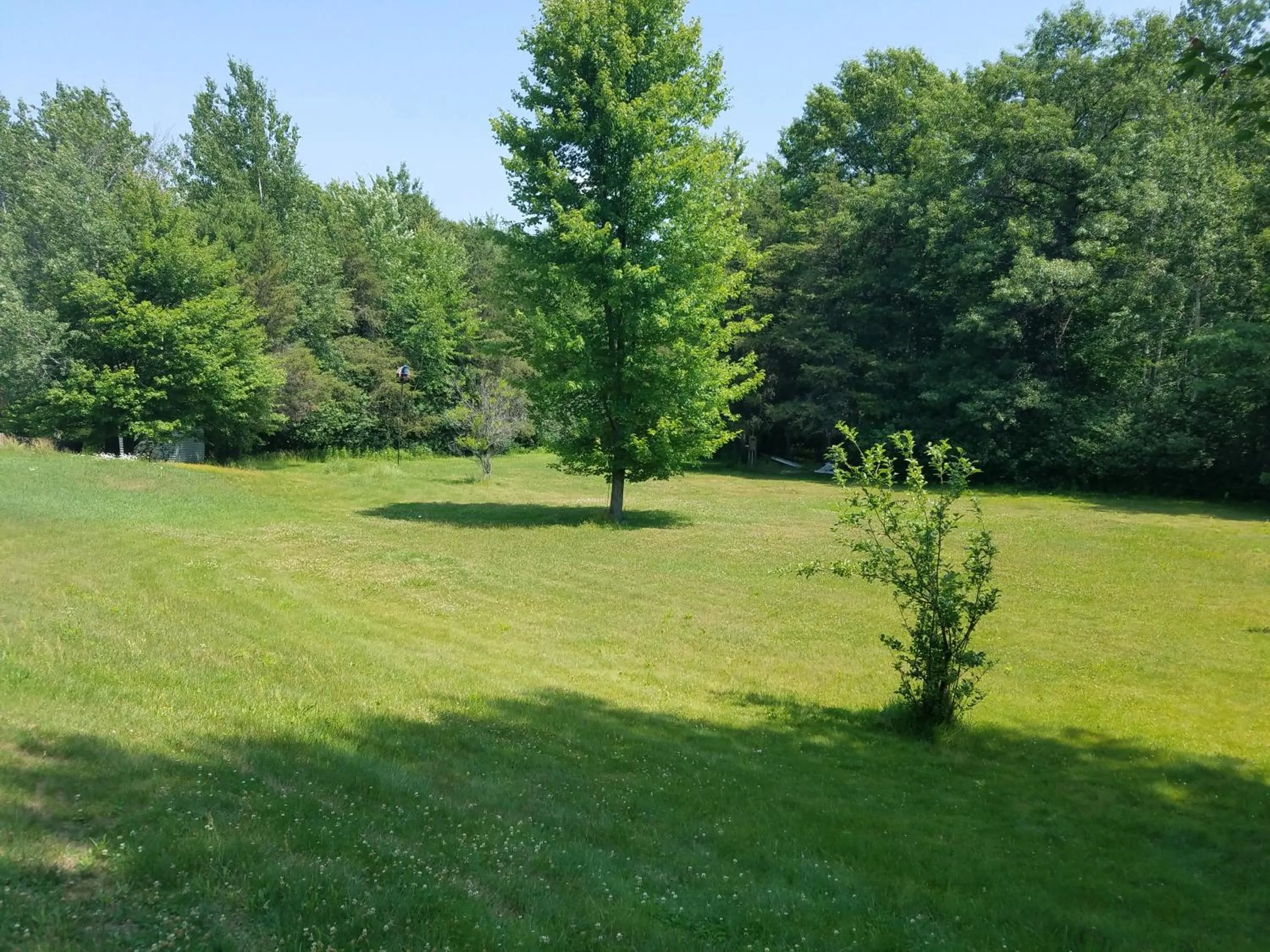 View (from property/room) in Tarragon Motel