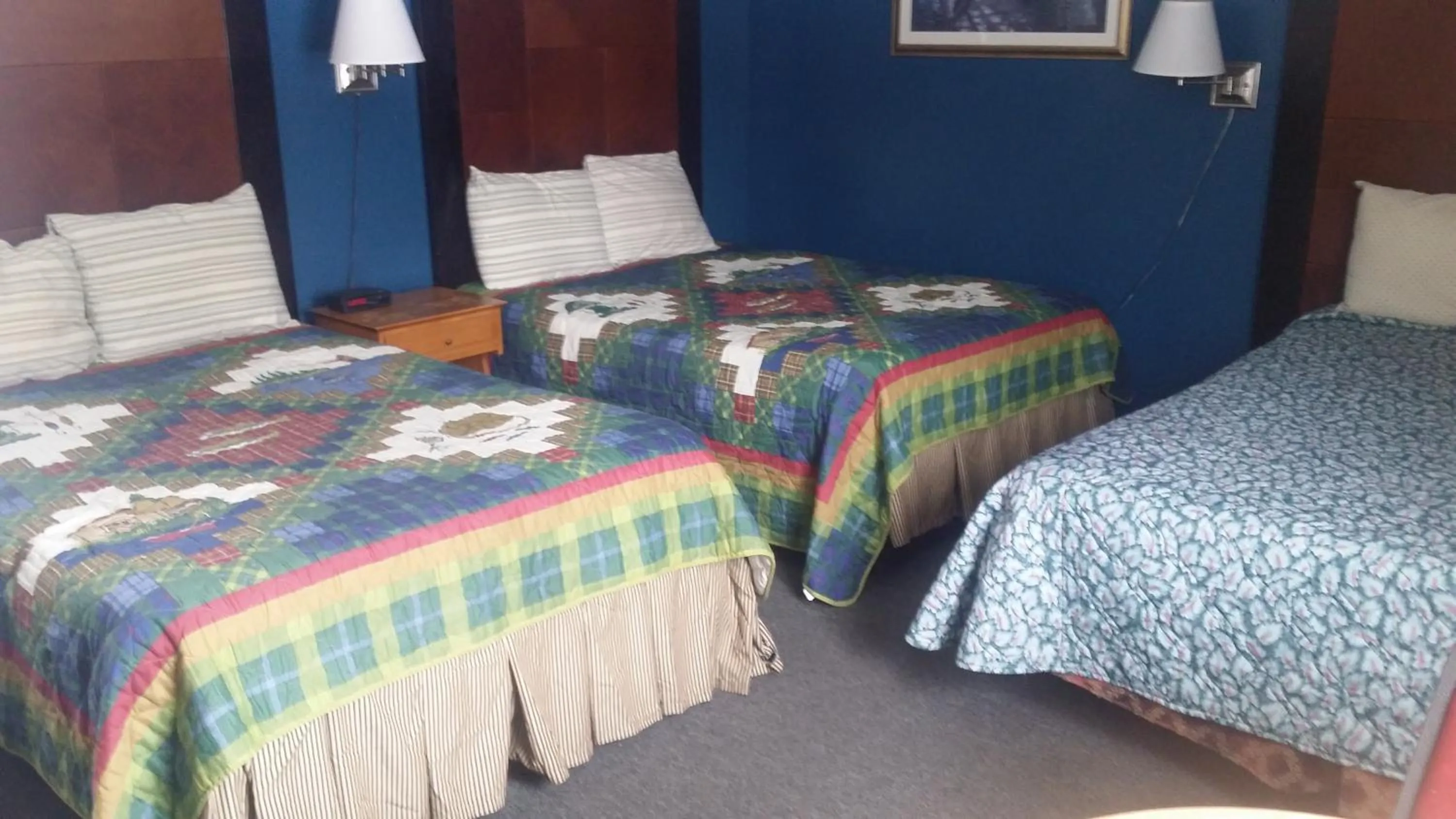 Bed in Tarragon Motel