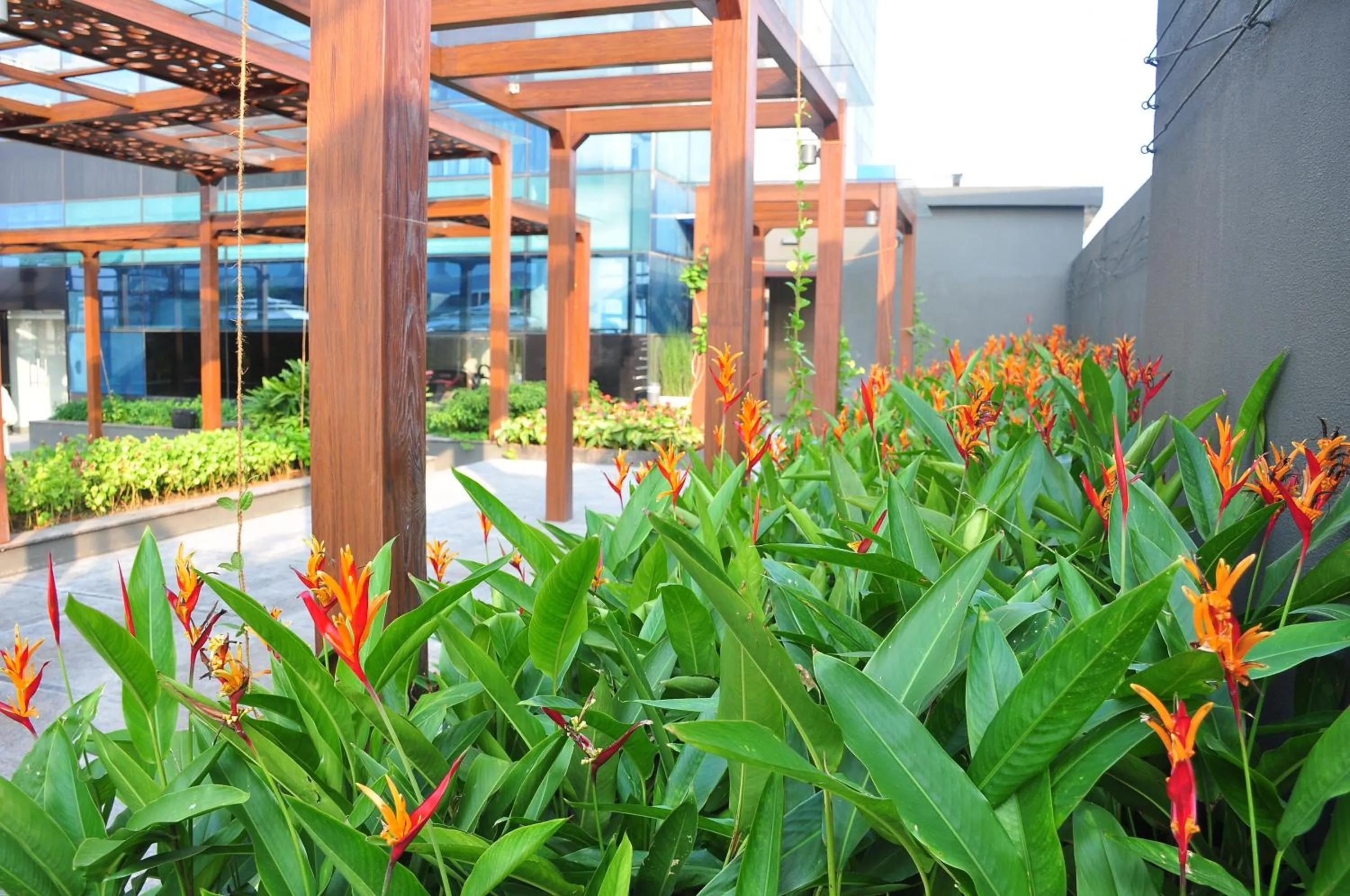 Patio in The Raviz Calicut