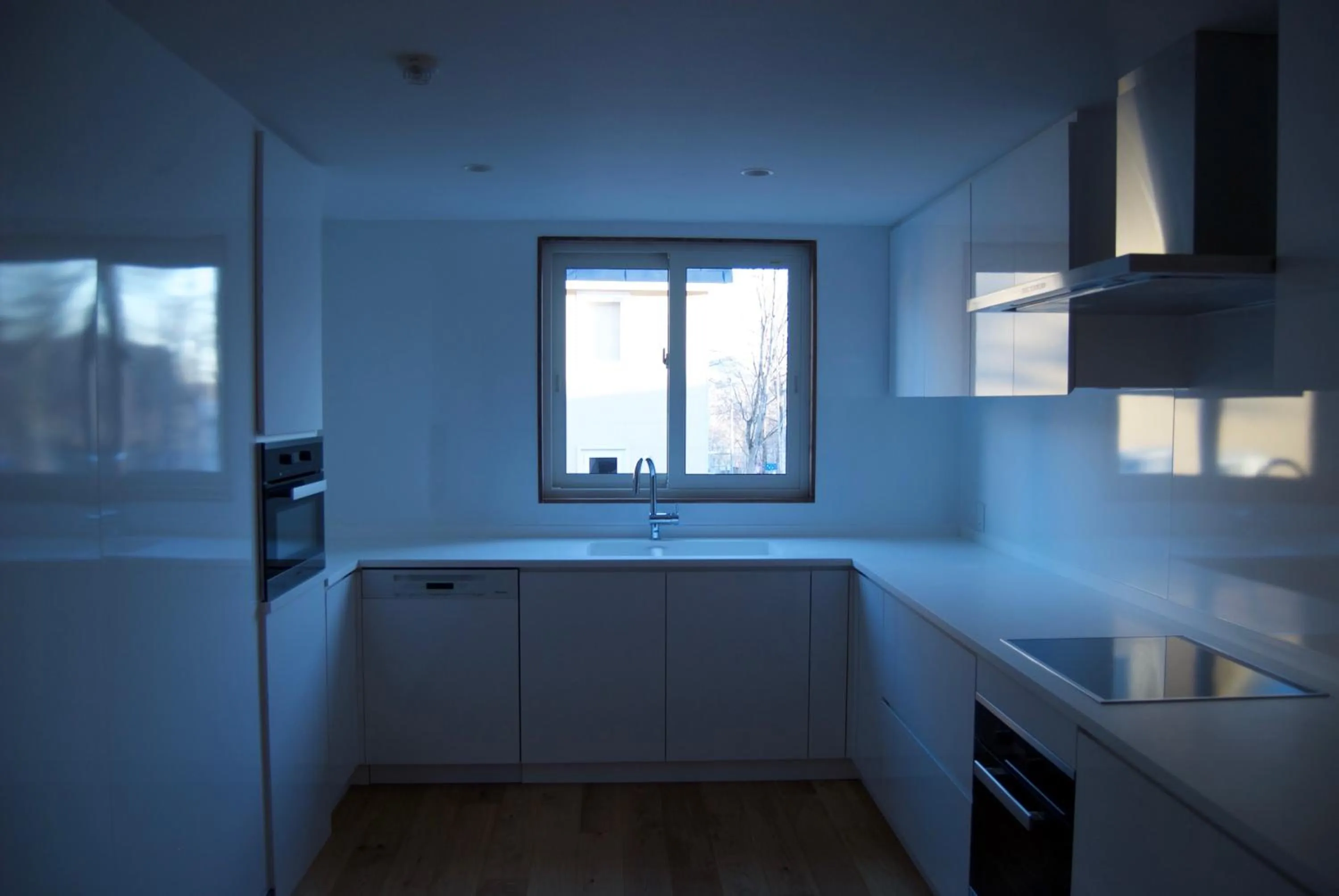 Kitchen or kitchenette in Greystone