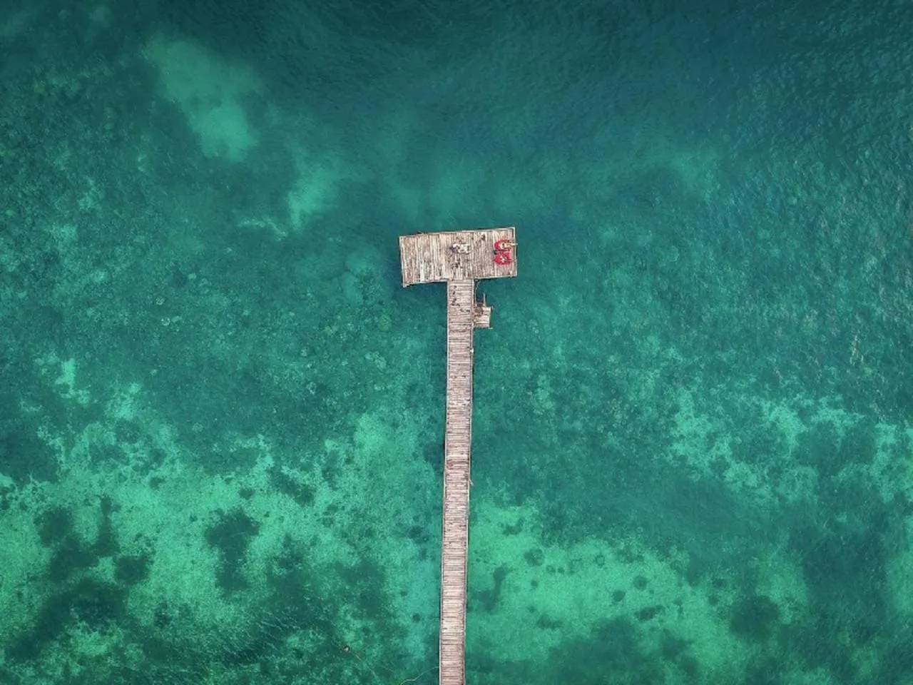 Beach in Scuba Republic Beach Bungalows