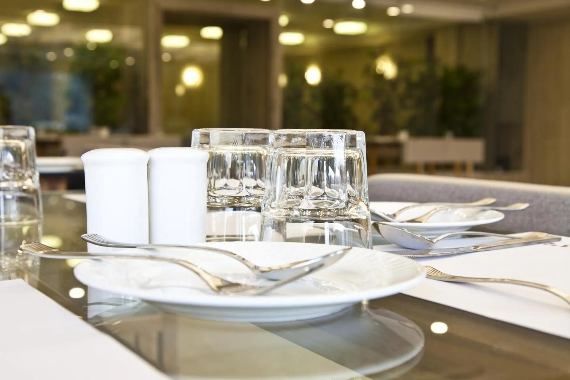 Restaurant/places to eat in Scenaria Hotel - Navrangpura, Ahmedabad