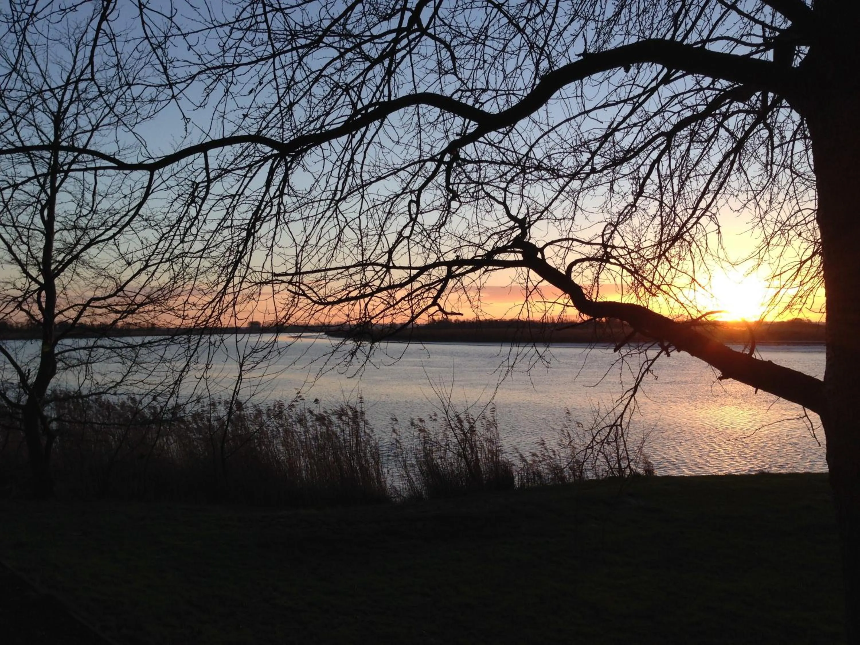 Natural landscape in Saltmarshe Hall