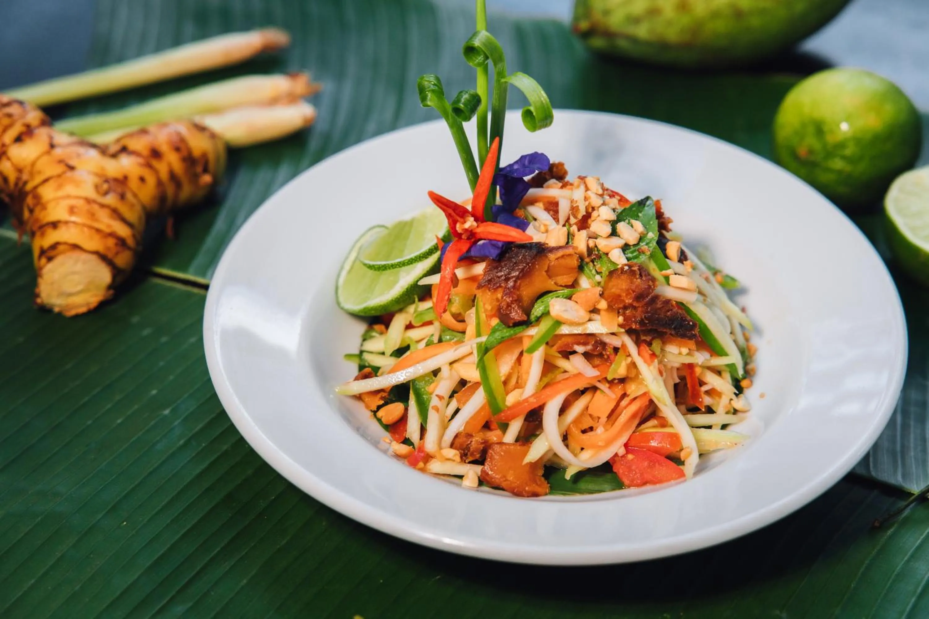 Food in Central Suite Residence