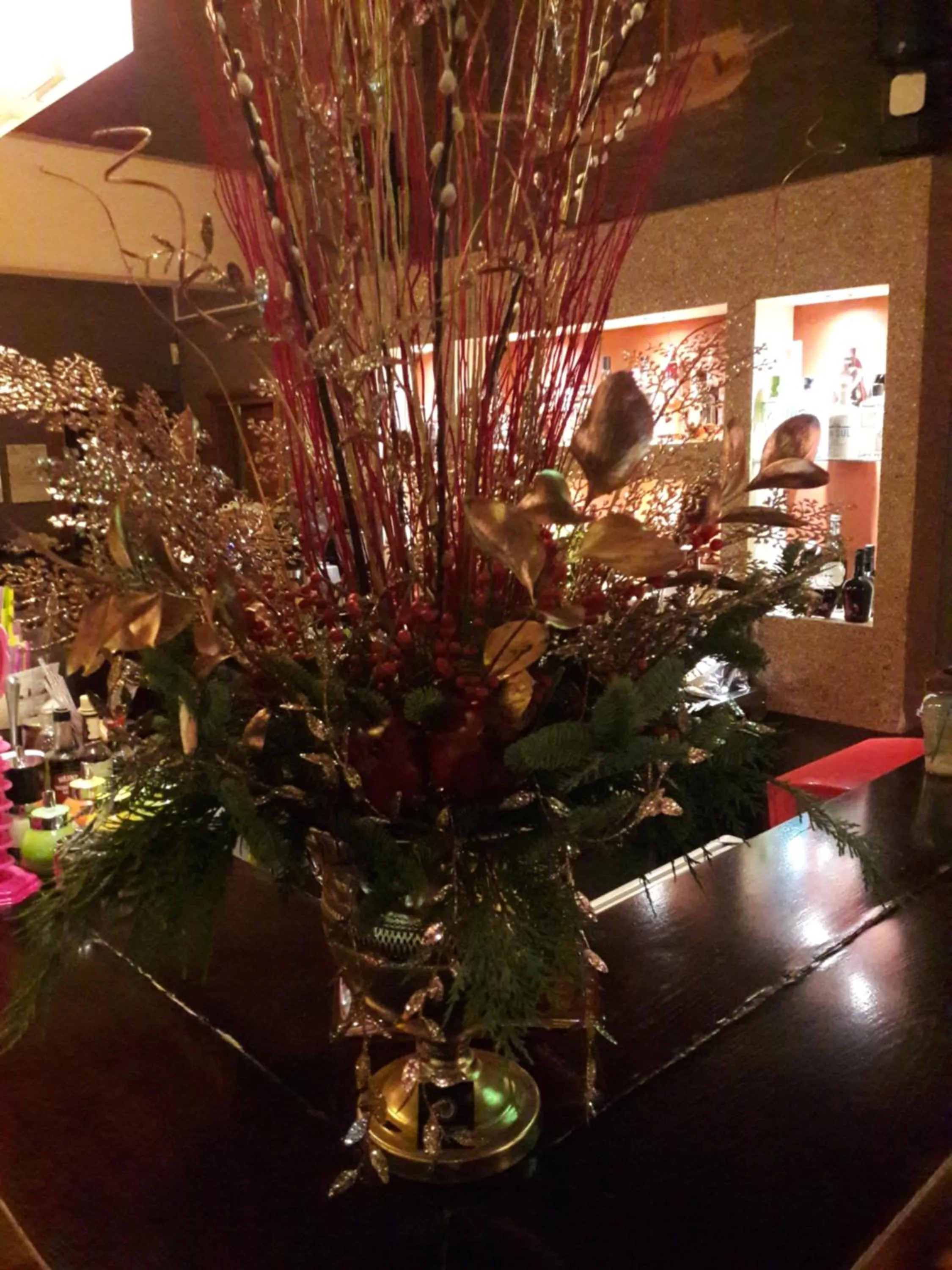 Lounge or bar in Cabo Verde