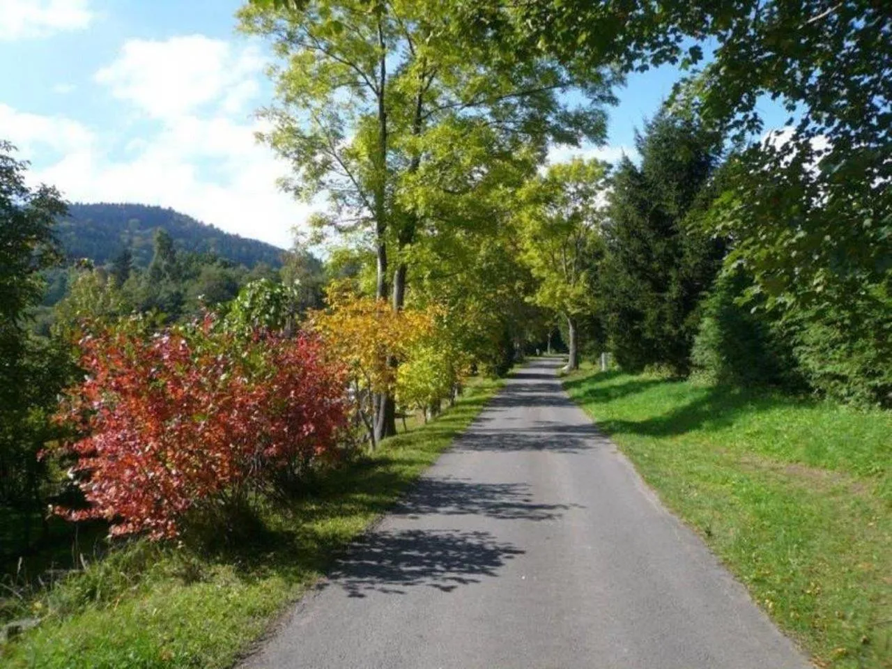 Other in Chaty pod Sokolím Hřbetem