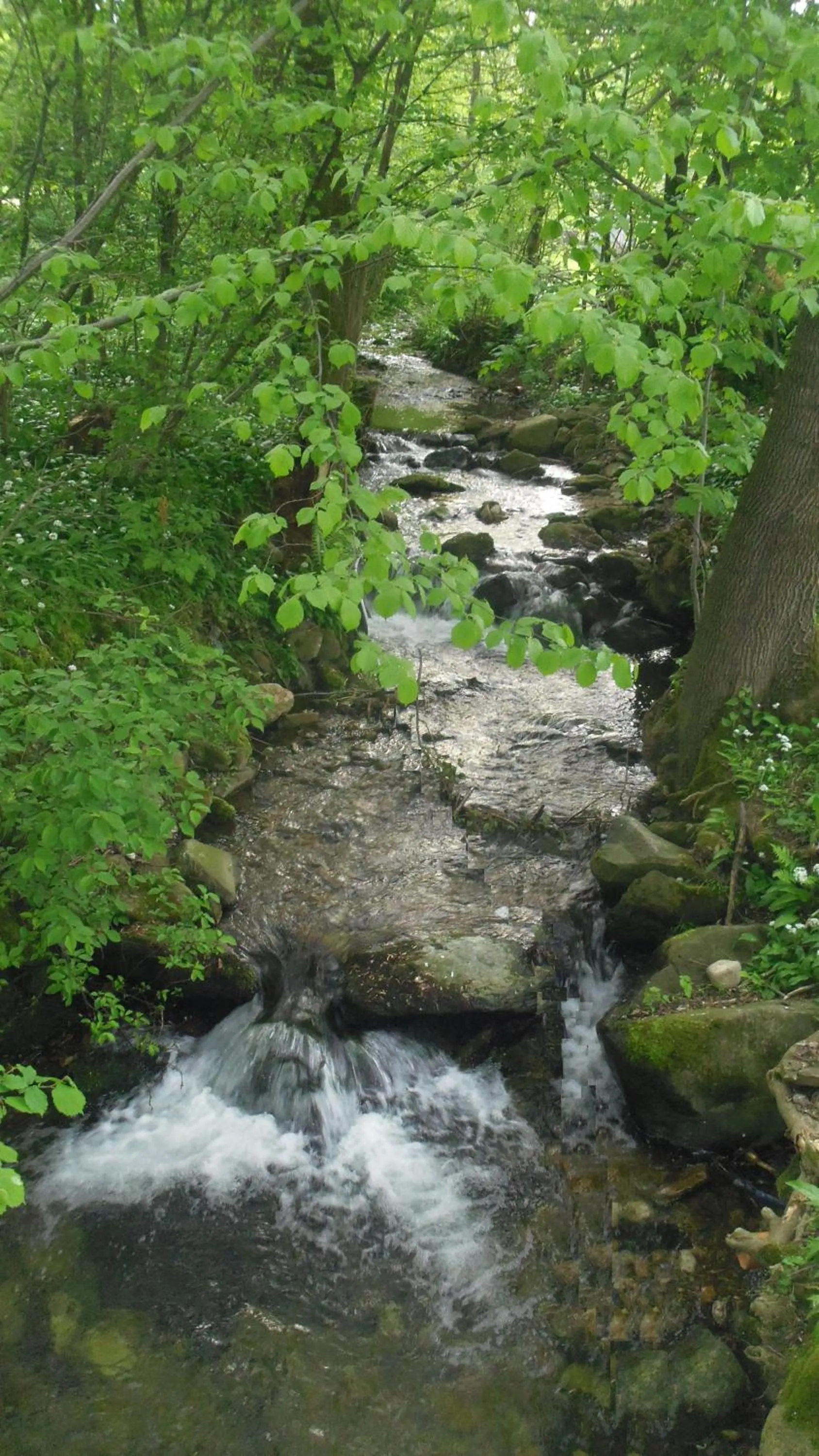 Off site in Chaty pod Sokolím Hřbetem