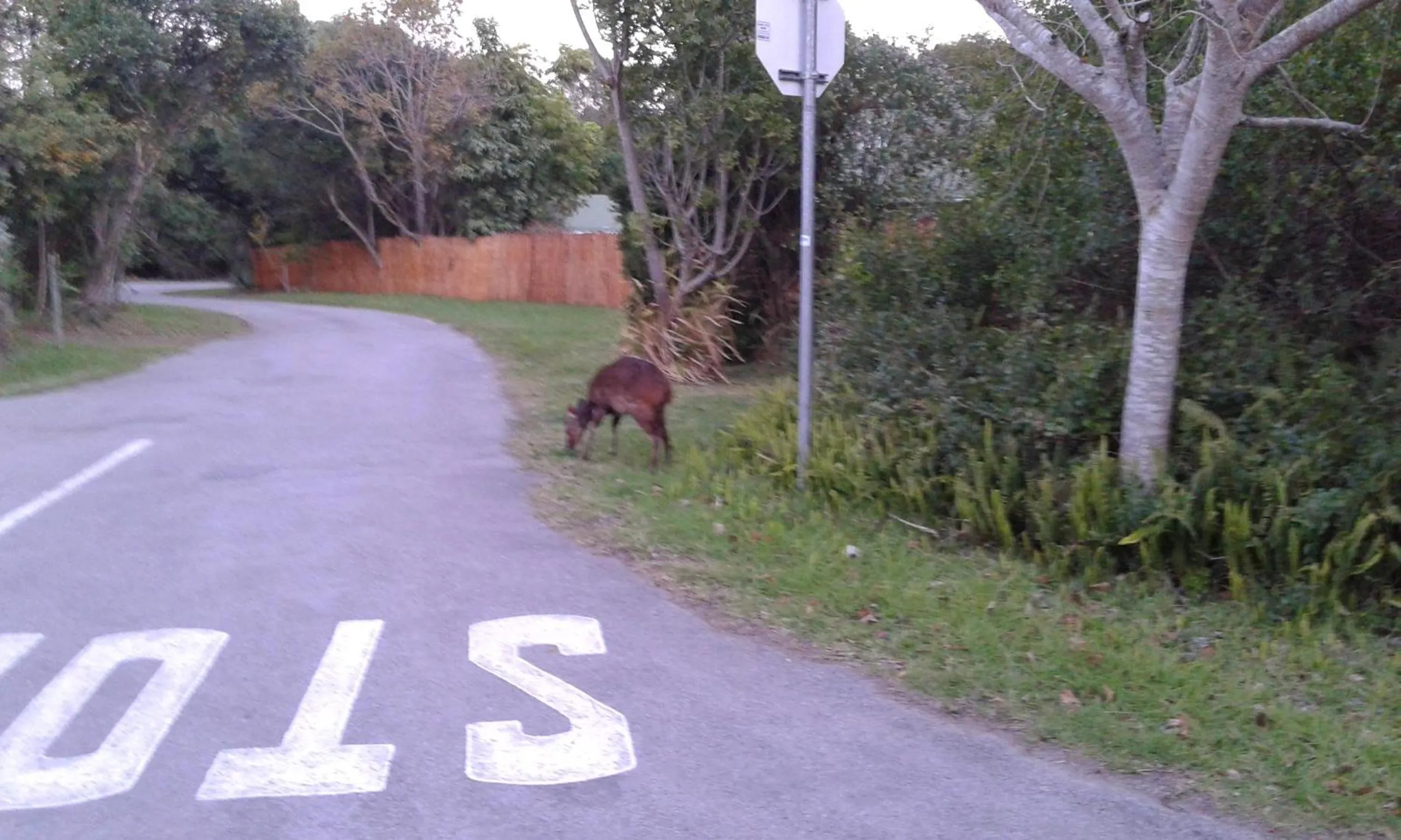 Property building in Kamma-Otter