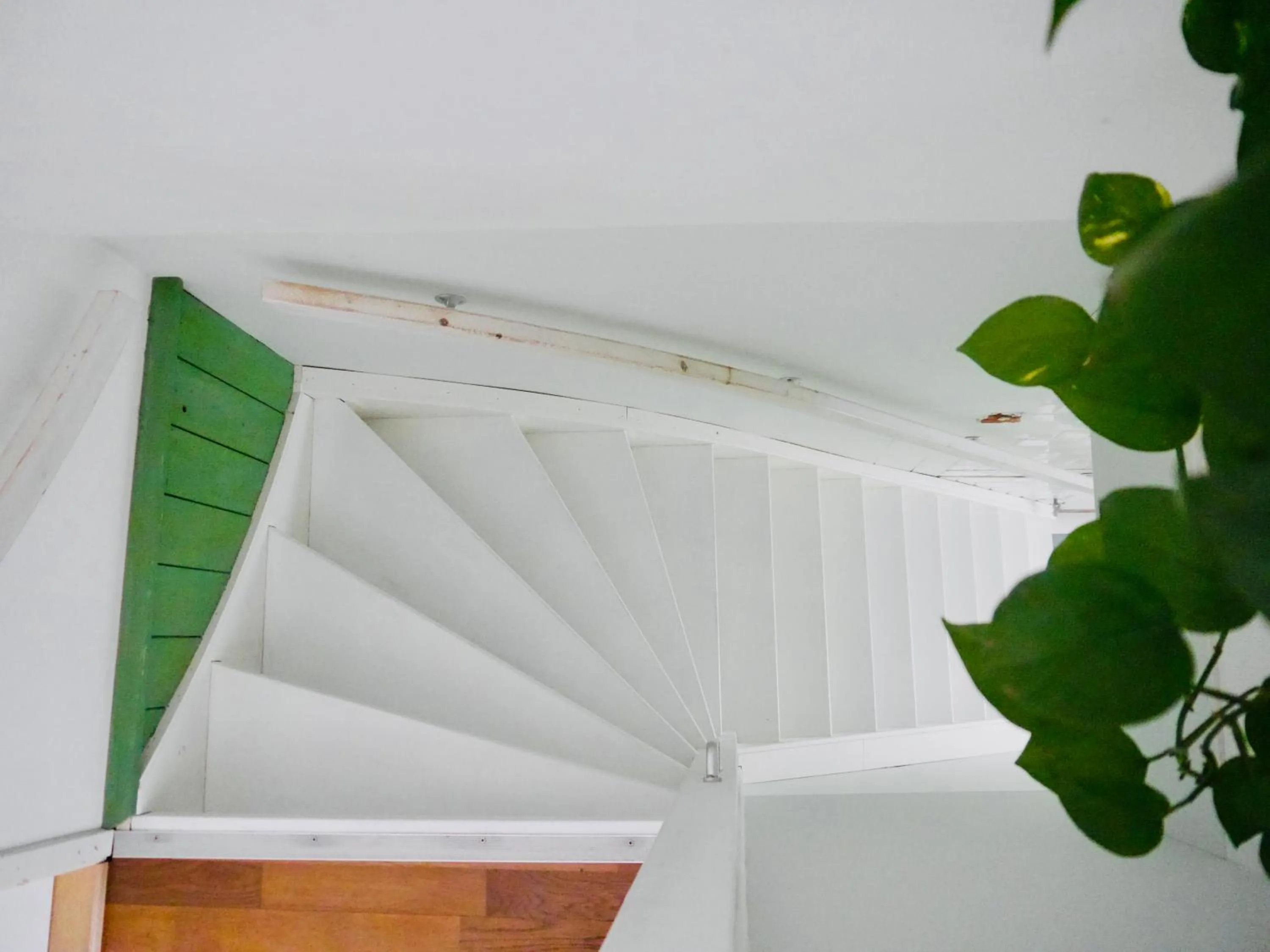 Facade/entrance in Groenlokaal