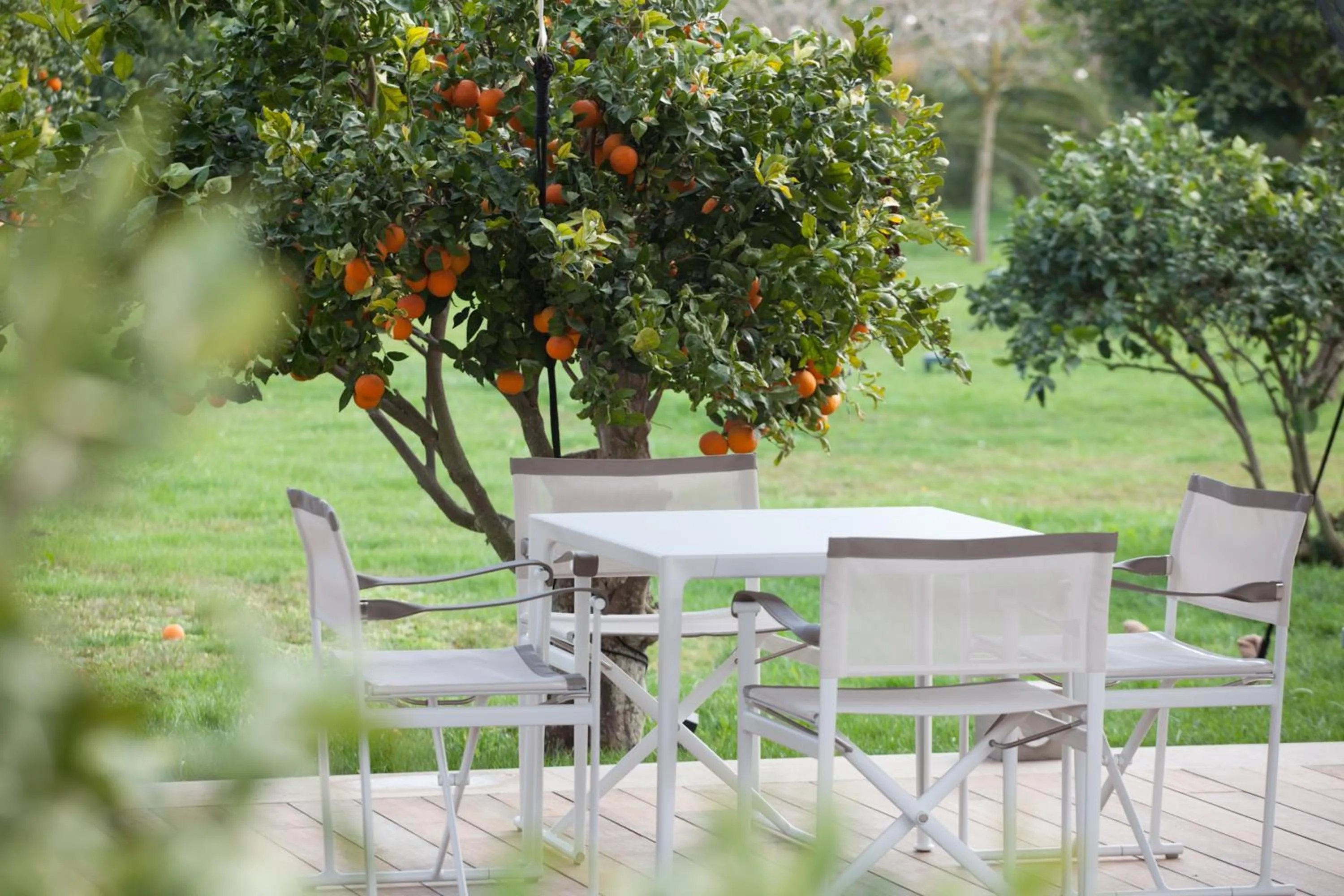 Property building in Hotel Rural Xereca