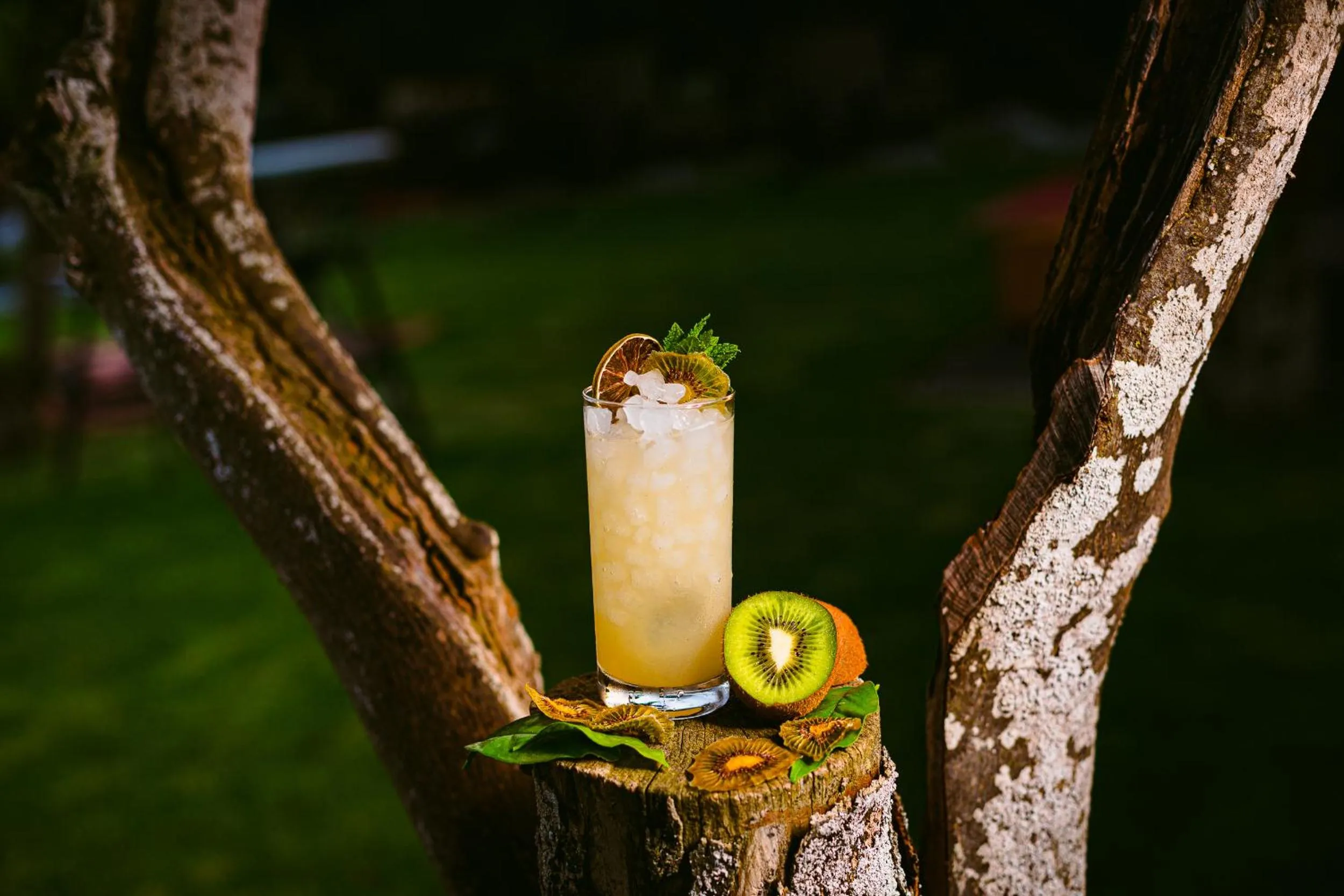 Drinks in Hotel Rural Xereca