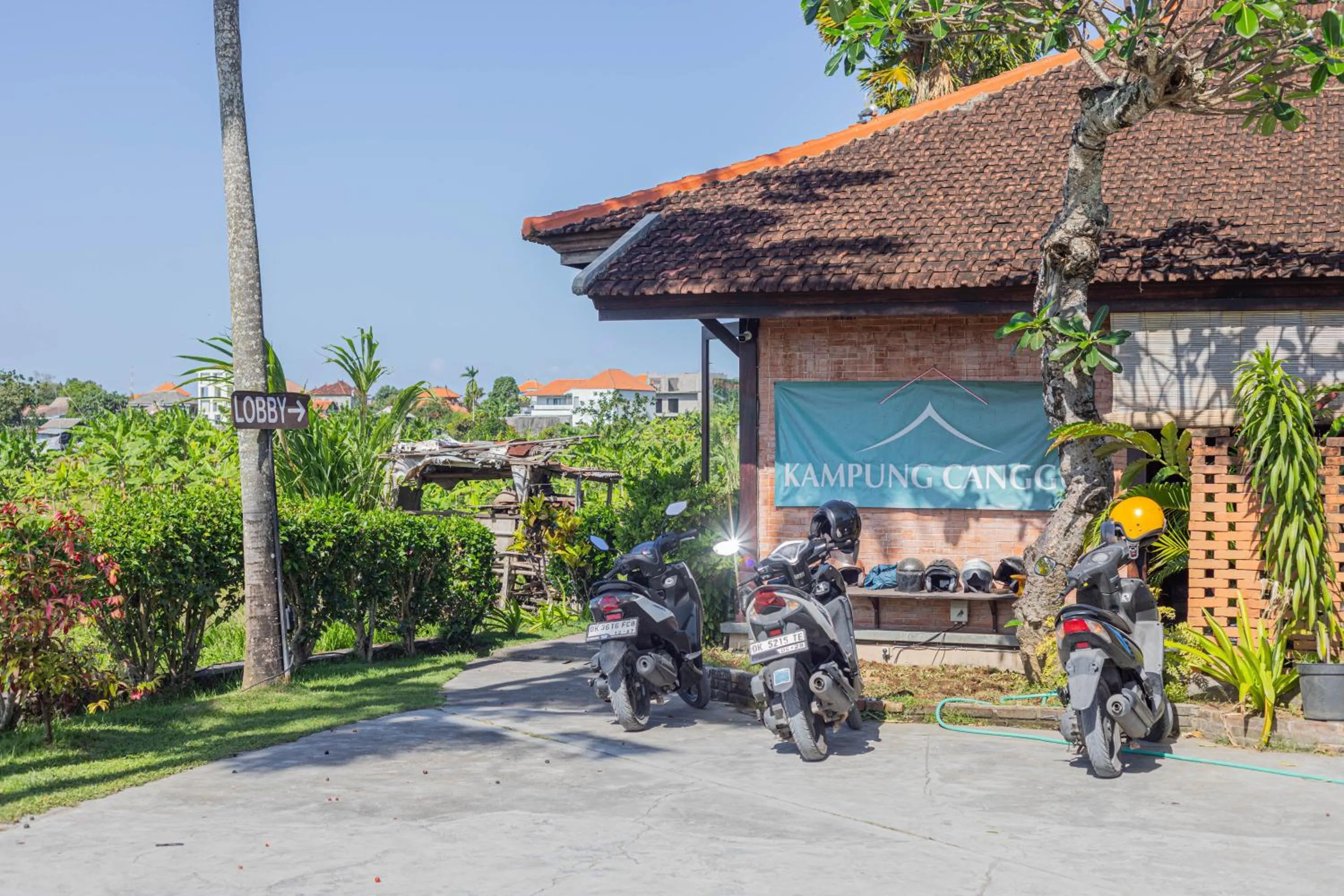 Property building in Kampung Canggu