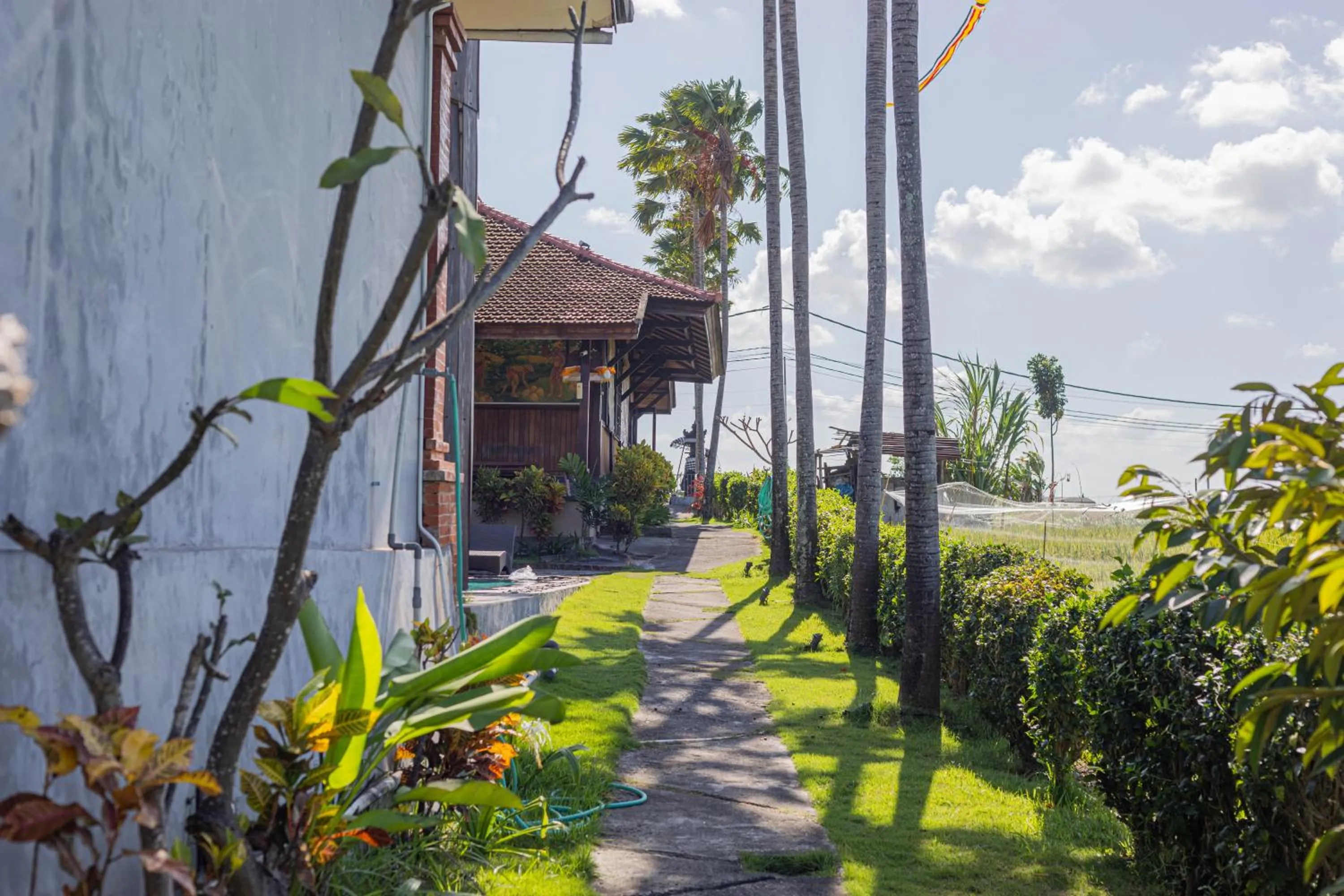 Property building in Kampung Canggu
