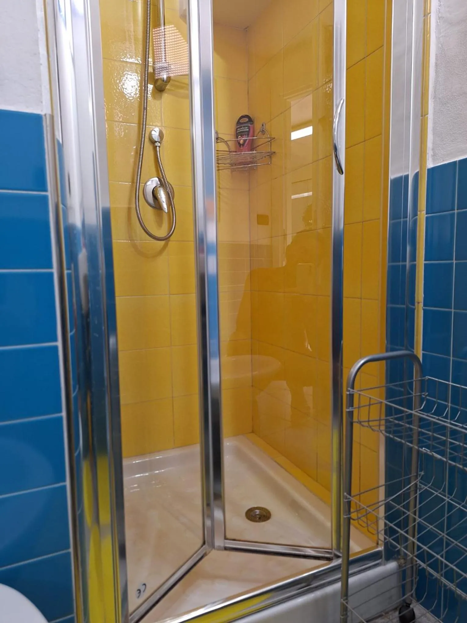 Shower in Green House