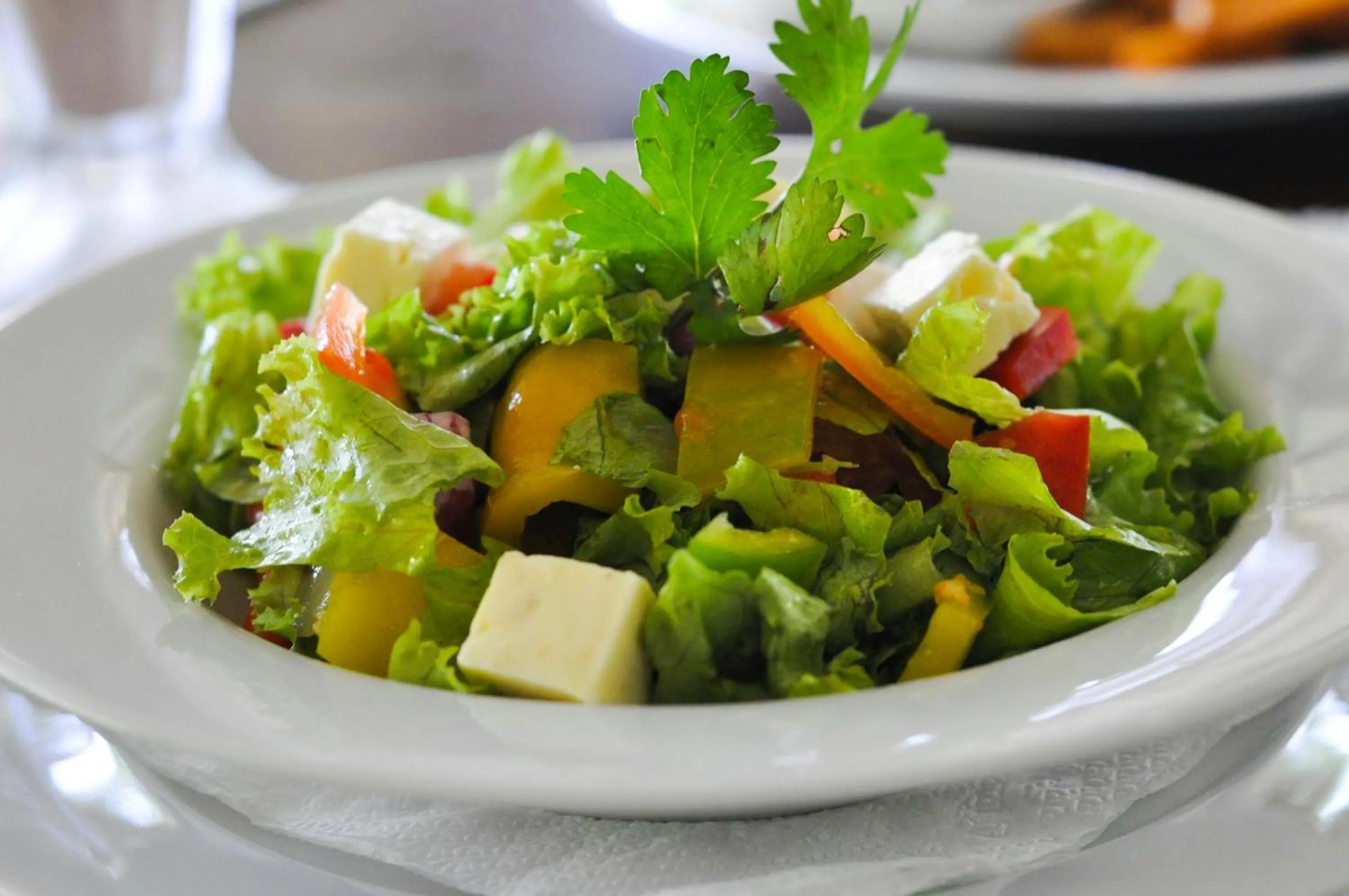 Lunch in Villa Kubura