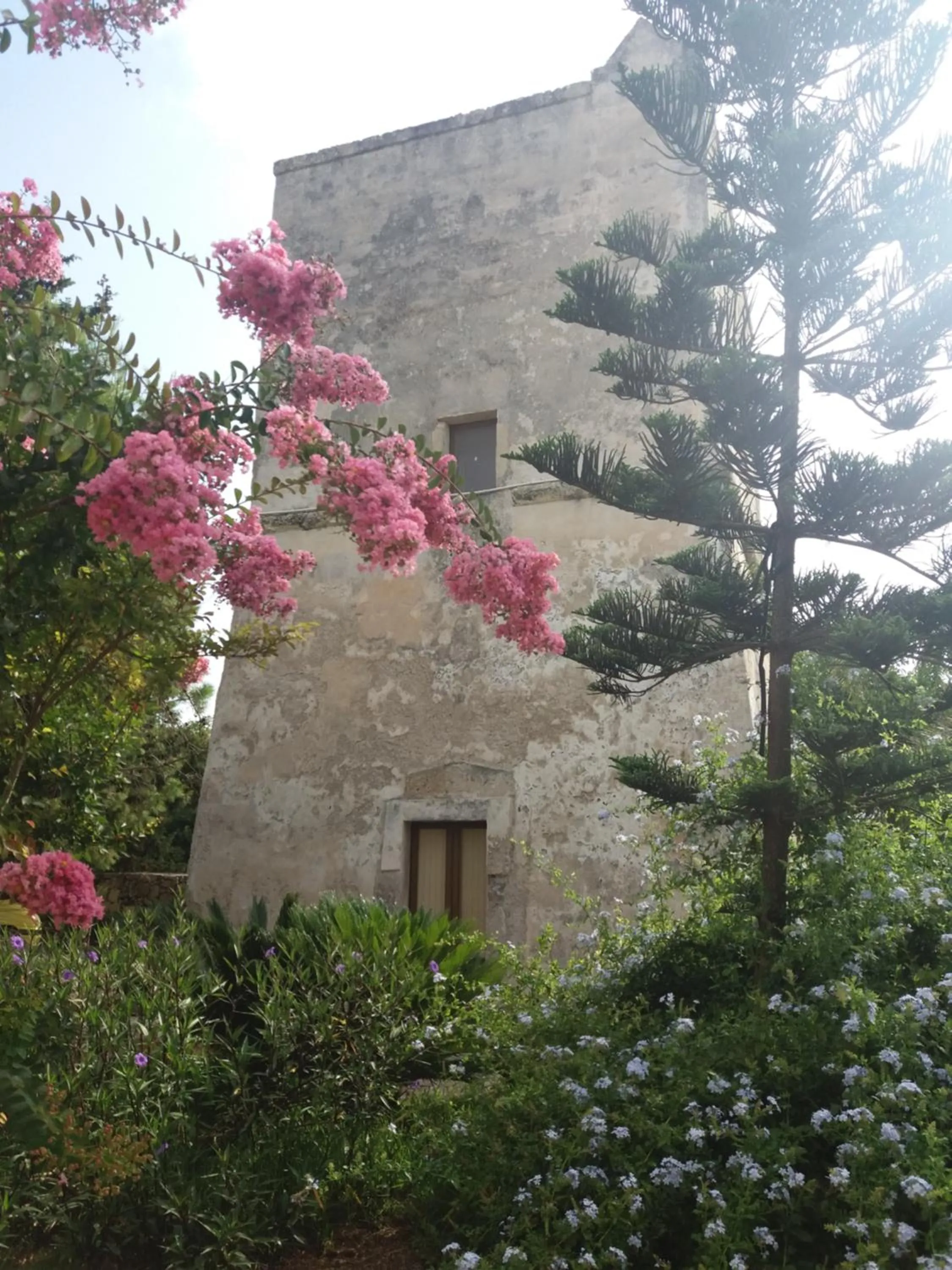 Garden in Masseria Lama