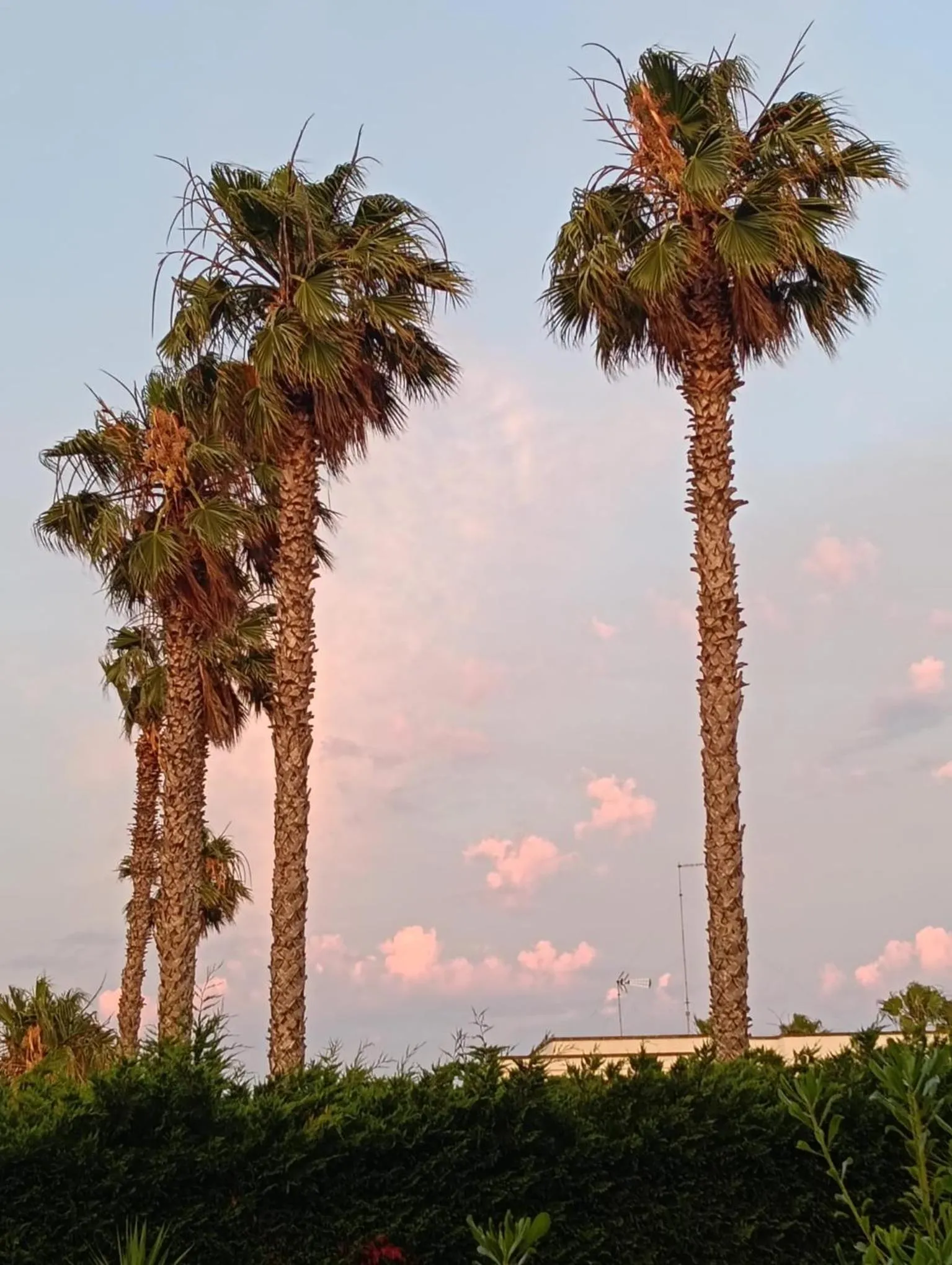 Property building in Masseria Lama