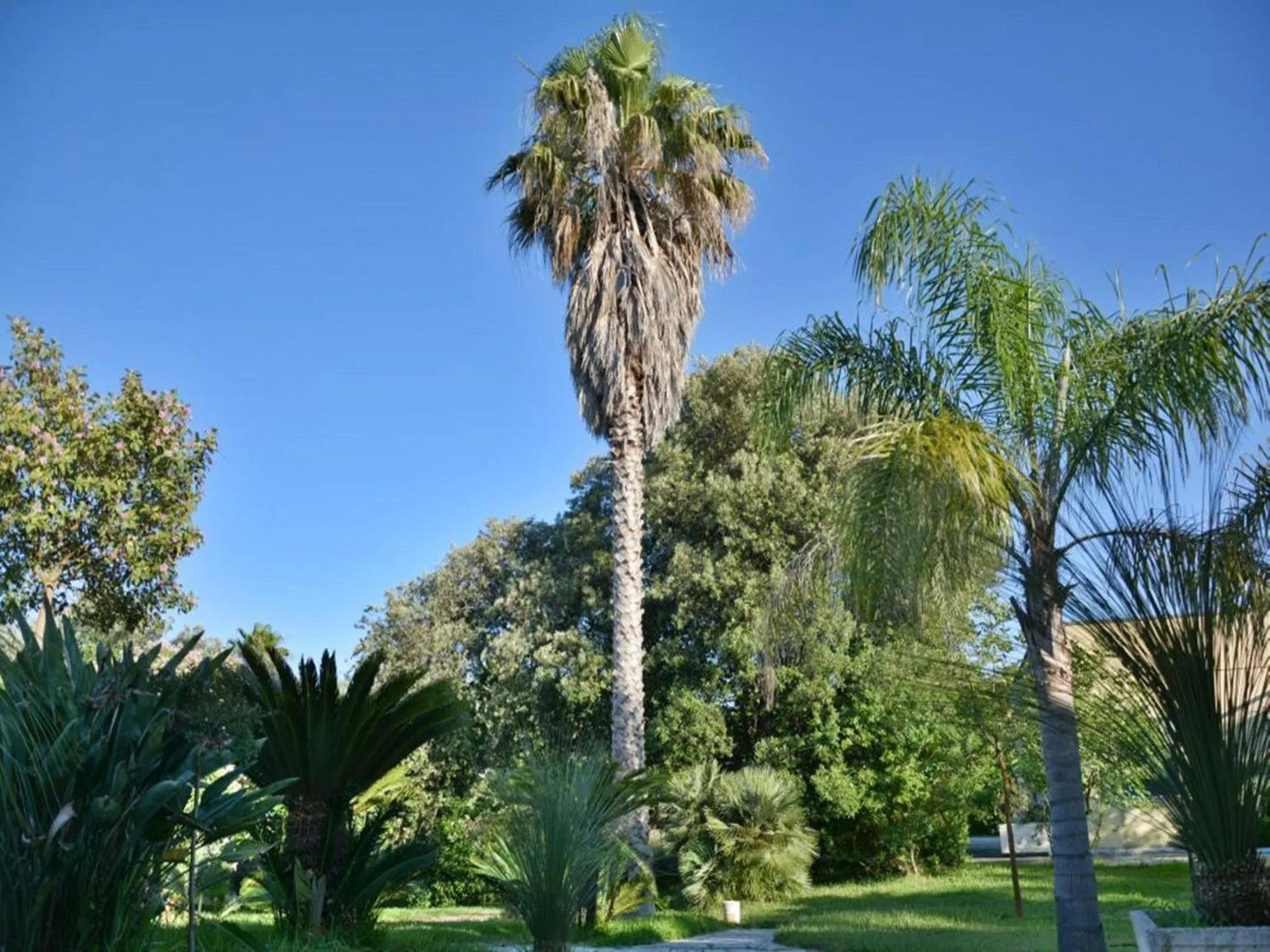 Garden in Masseria Lama