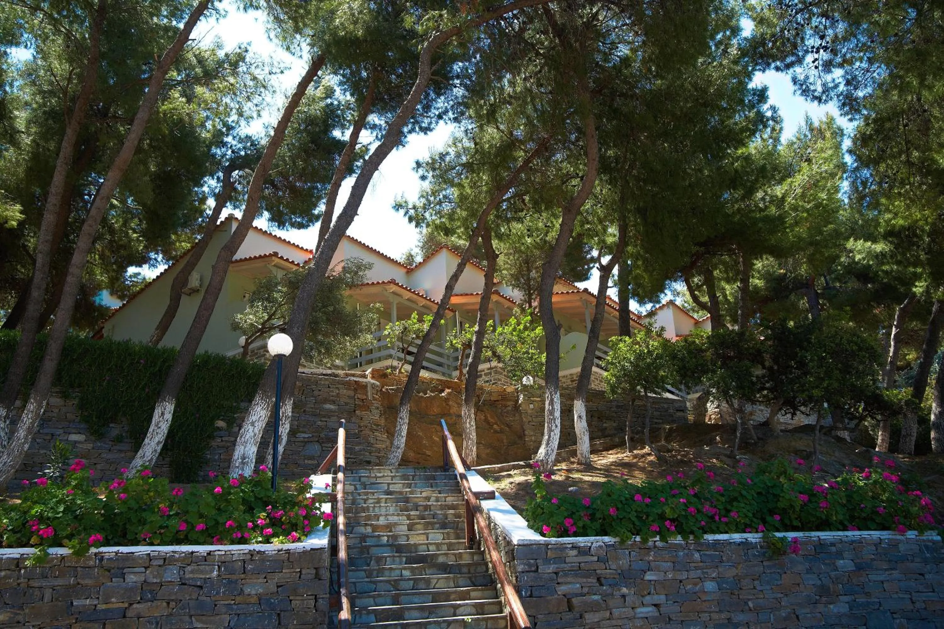 Property building in Venus Beach Hotel