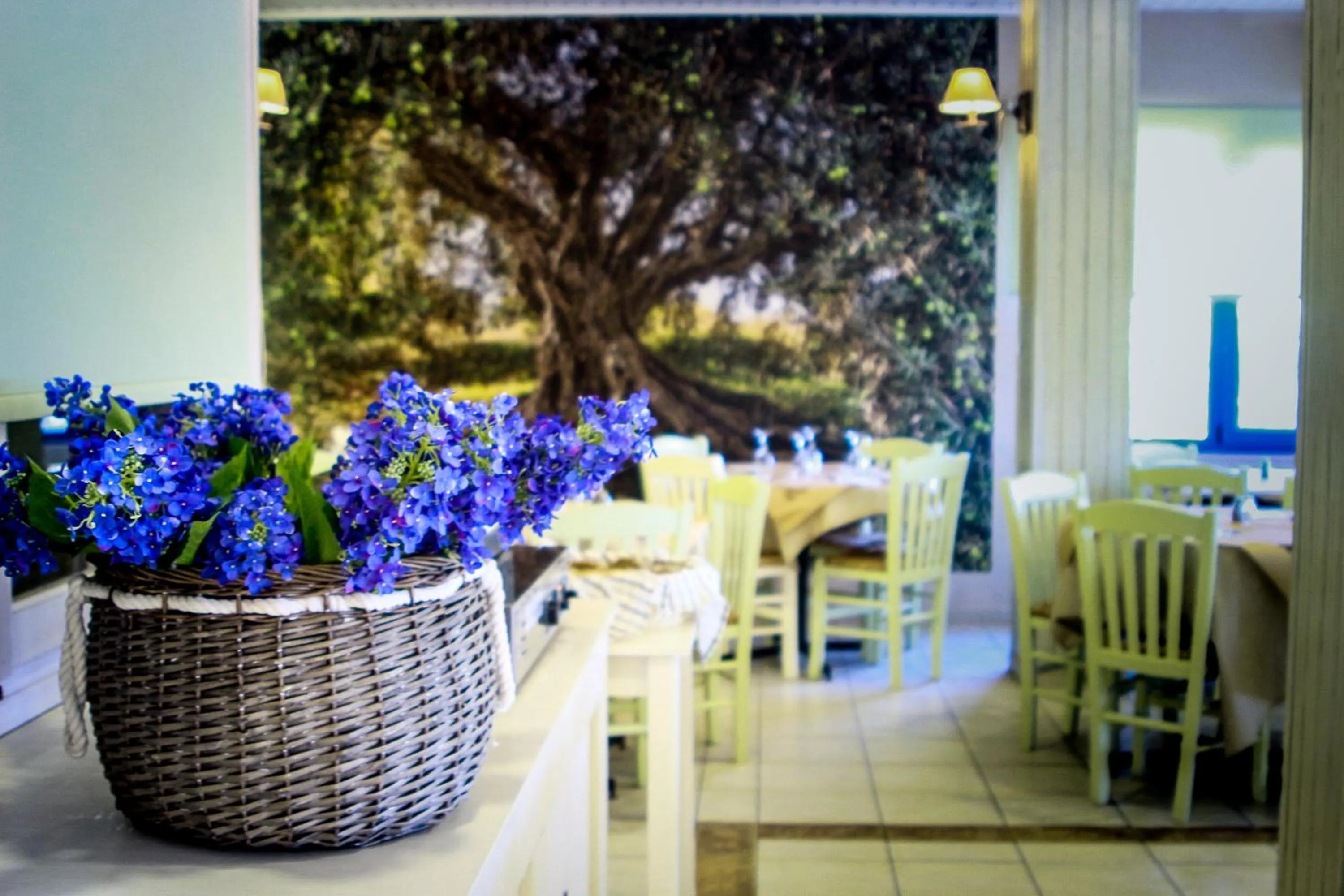 Restaurant/places to eat in Venus Beach Hotel