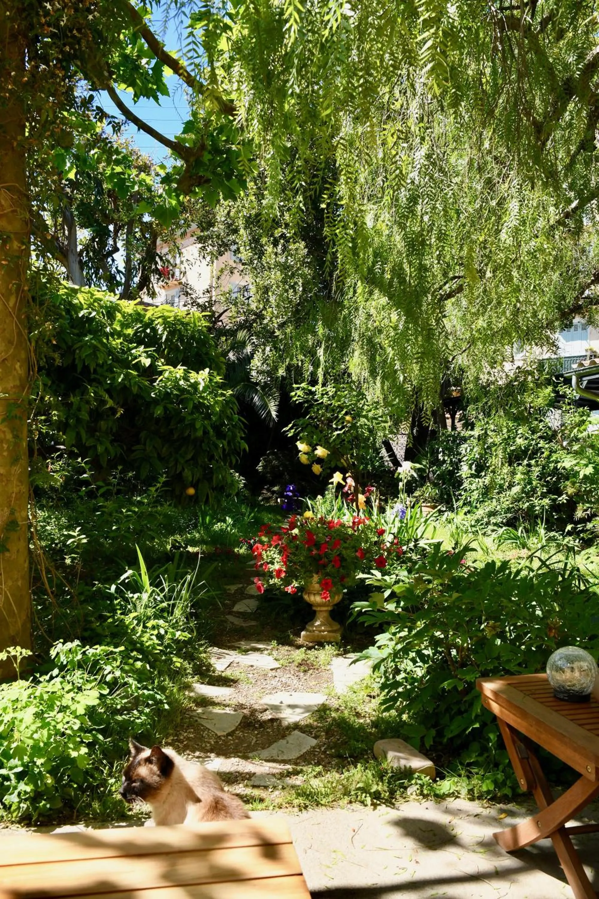 View (from property/room) in Villa Prétorina