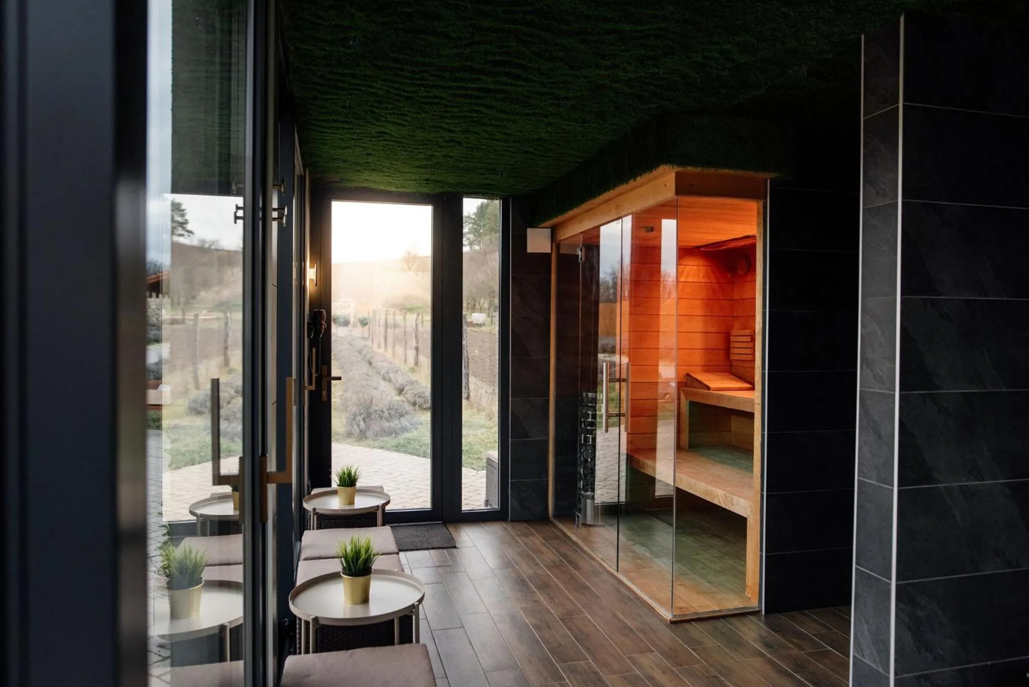 Spa and wellness centre/facilities in Hazai Provence