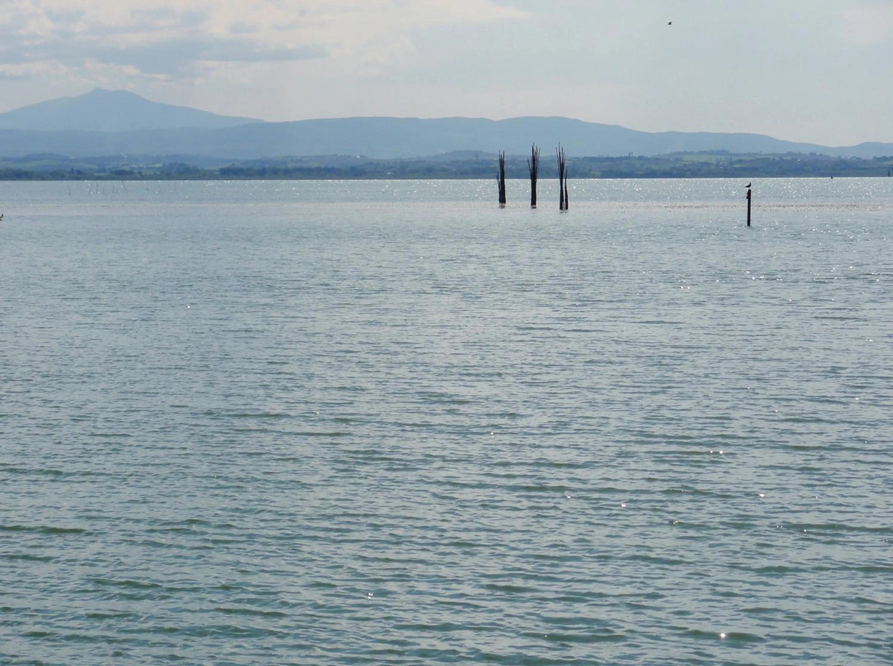 View (from property/room) in Un Petit Paradis