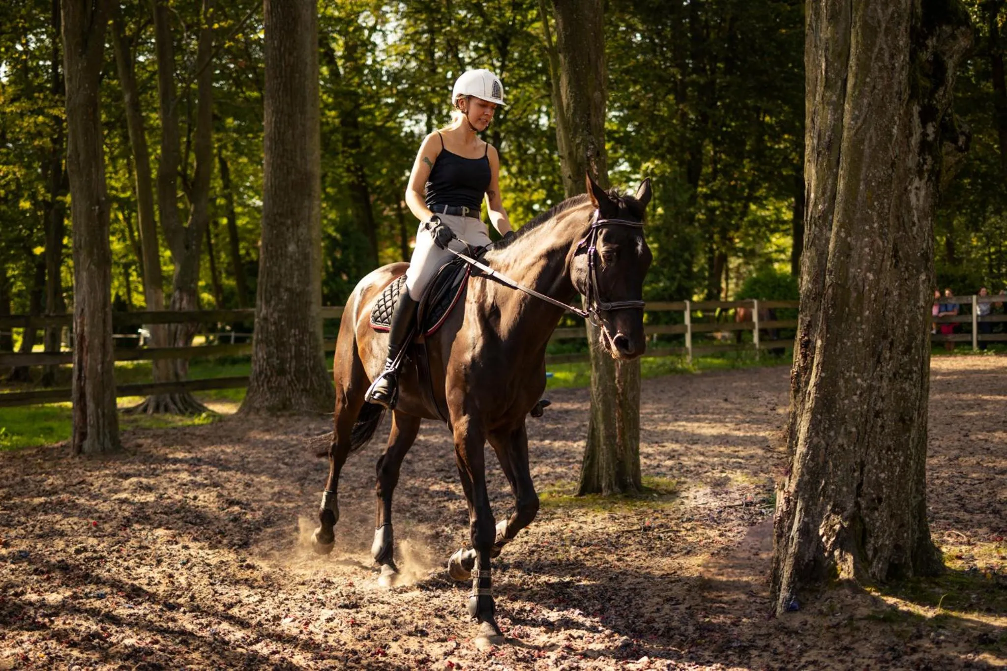 Horse-riding in Hotel Pałac Alexandrinum