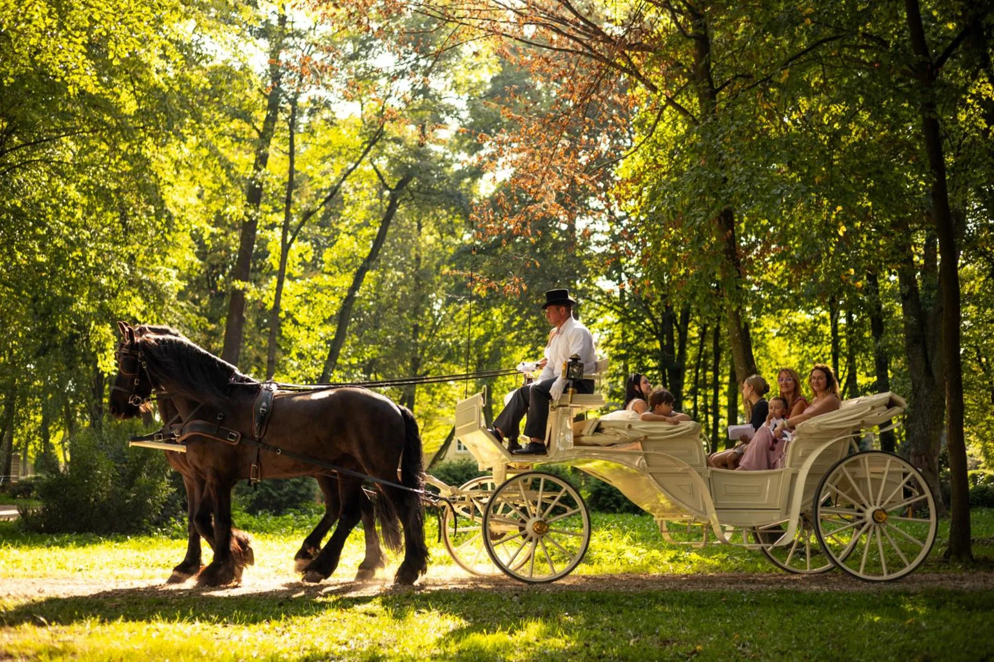 Horse-riding in Hotel Pałac Alexandrinum