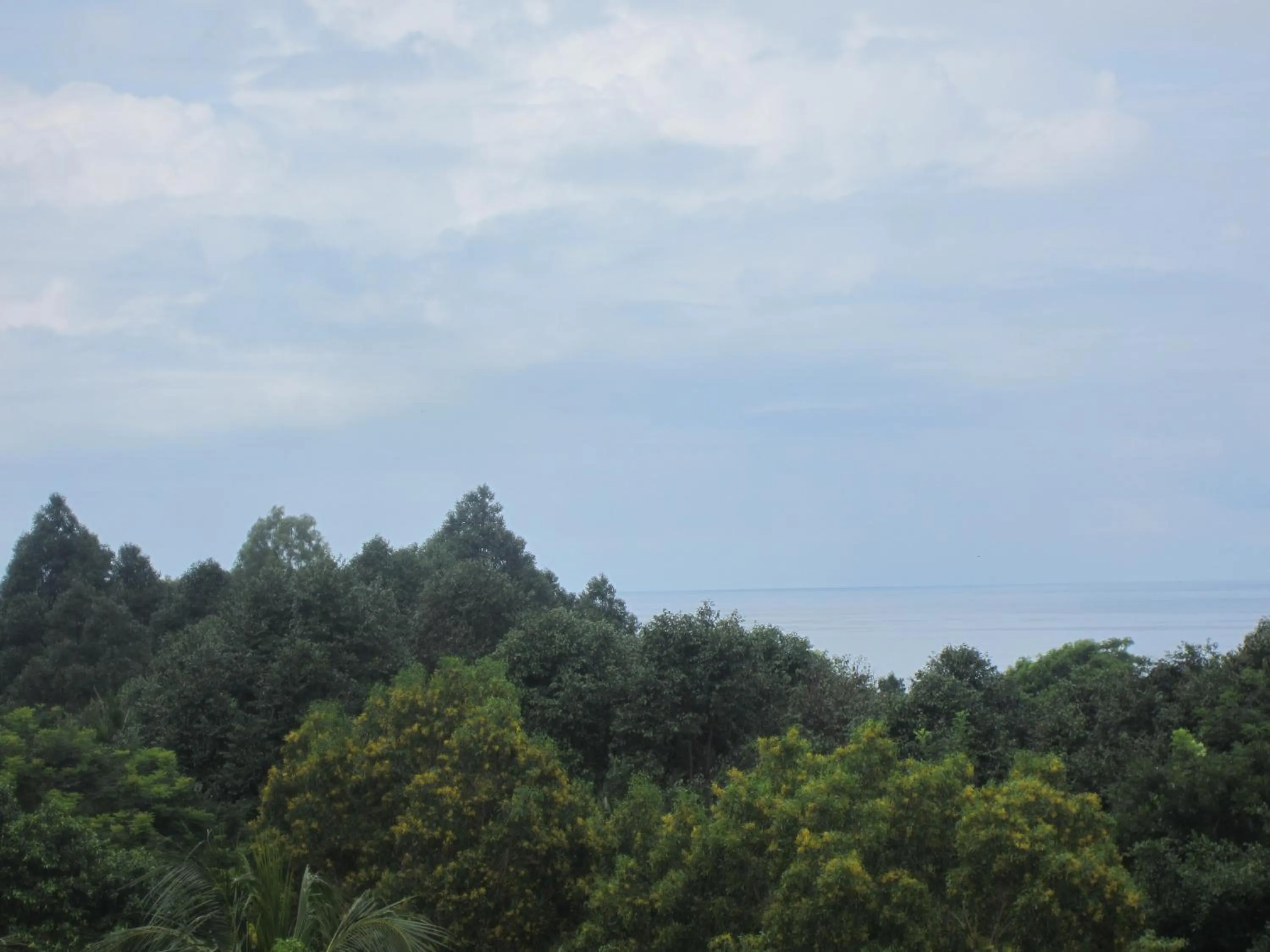 Gia Thanh Phu Quoc Guest House