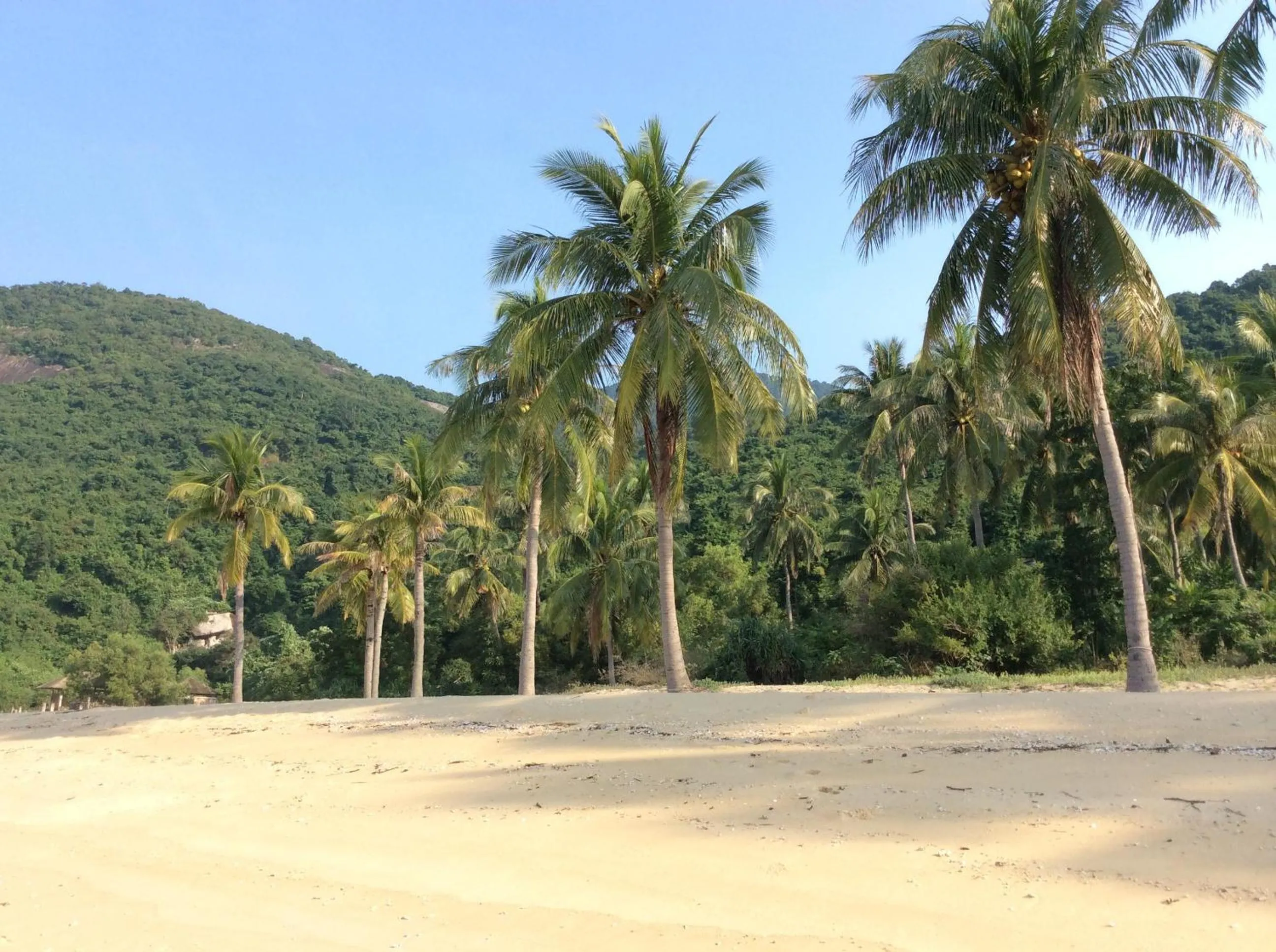 Natural landscape in Cham Island Smiles Homestay