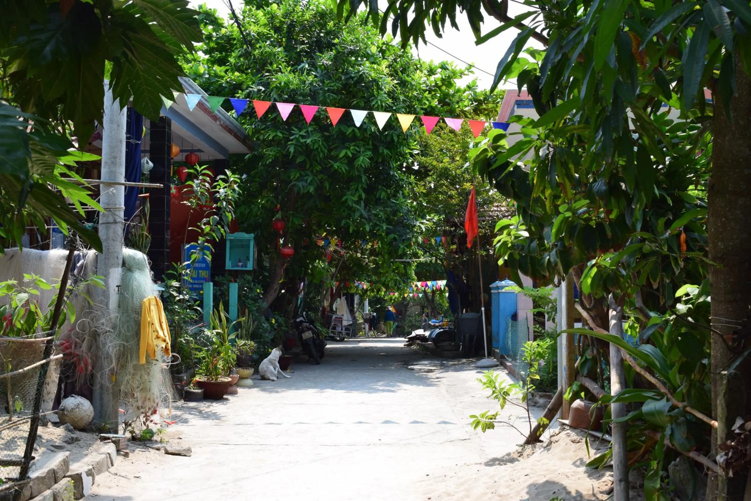 Neighbourhood in Cham Island Smiles Homestay