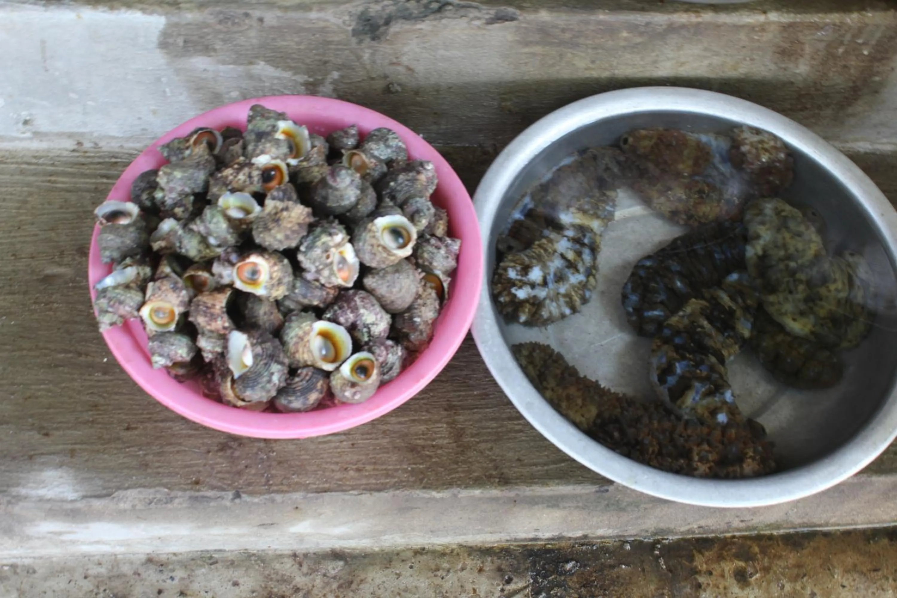 Food and drinks in Cham Island Smiles Homestay