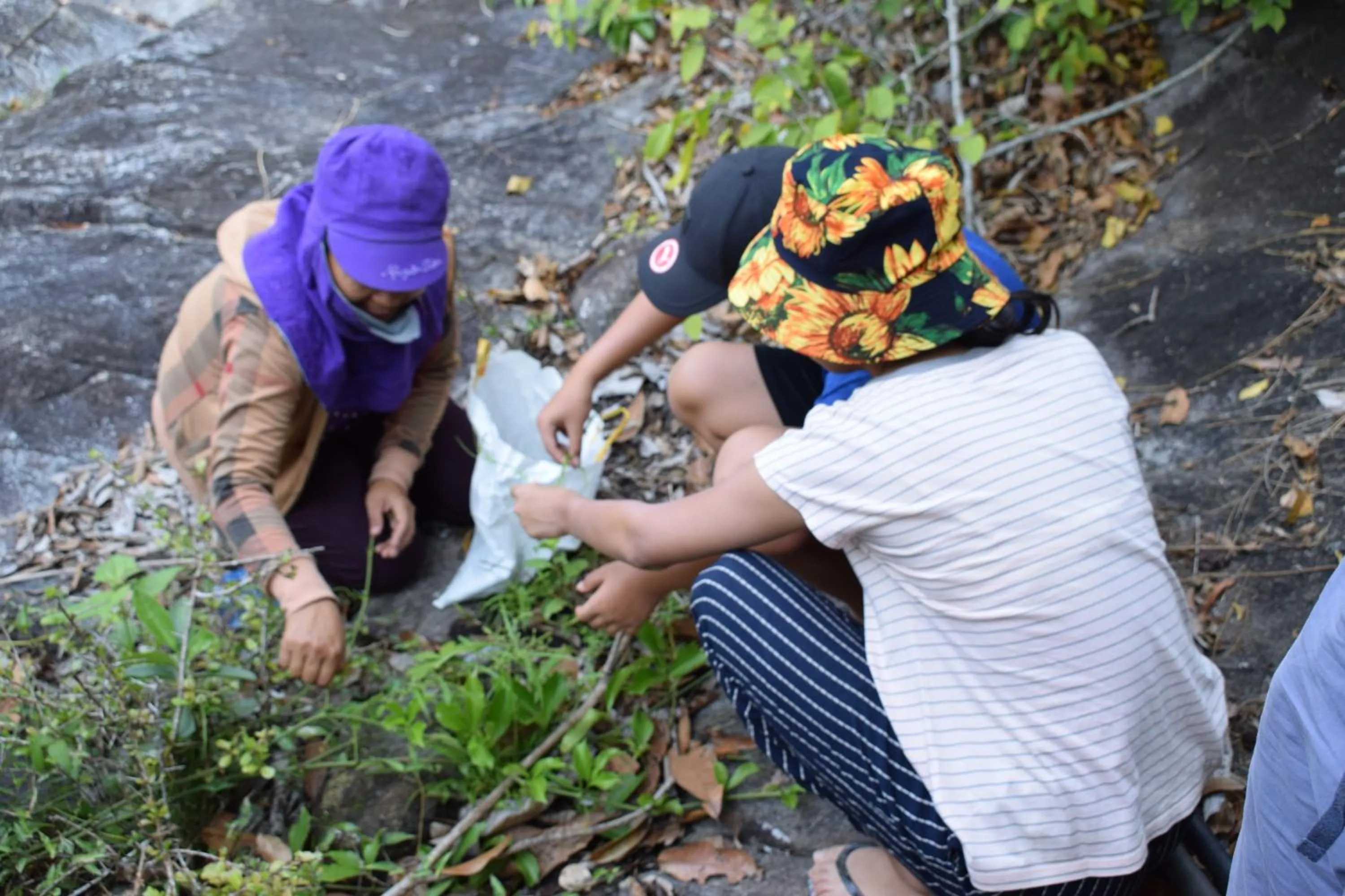 Hiking in Cham Island Smiles Homestay