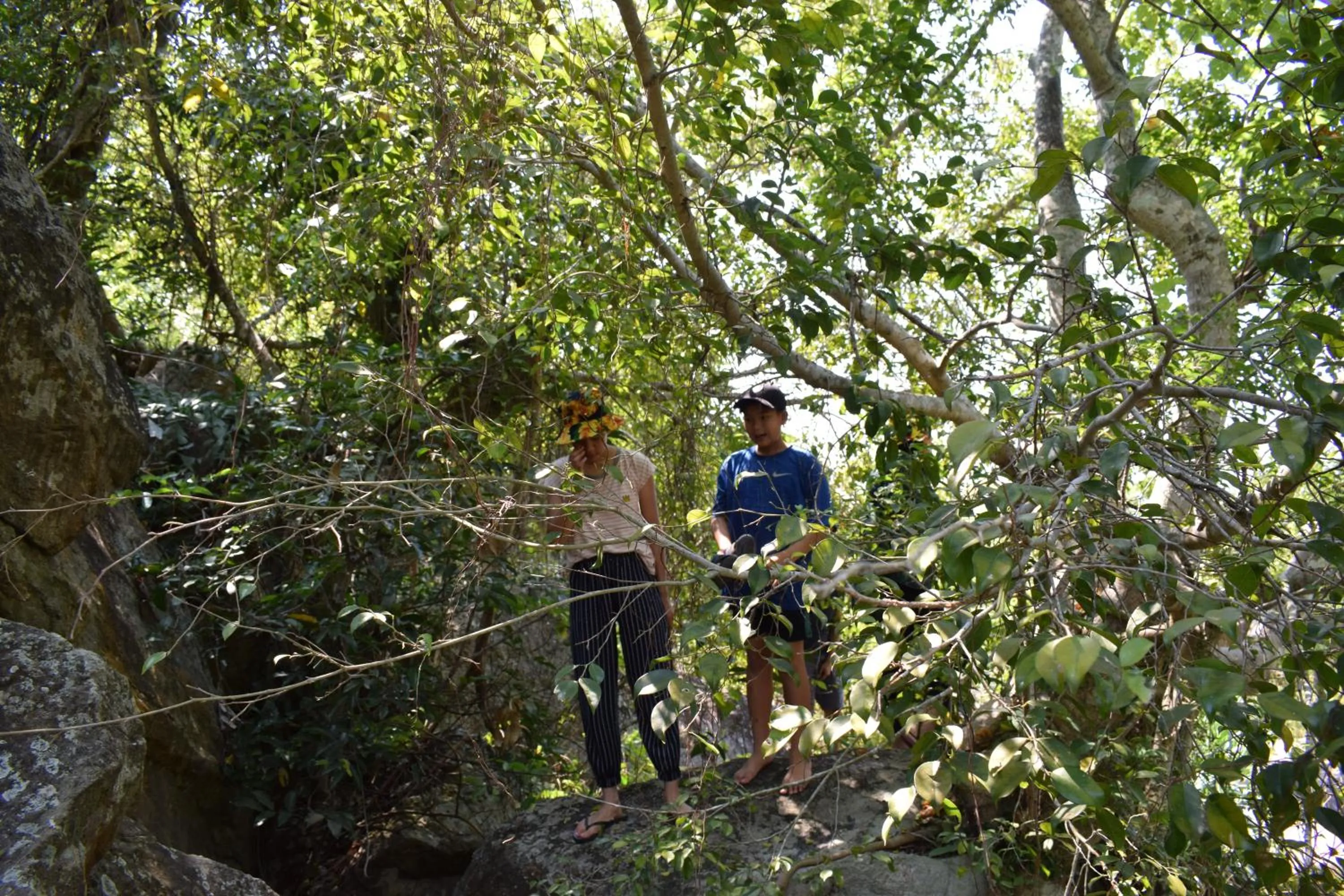 Activities in Cham Island Smiles Homestay