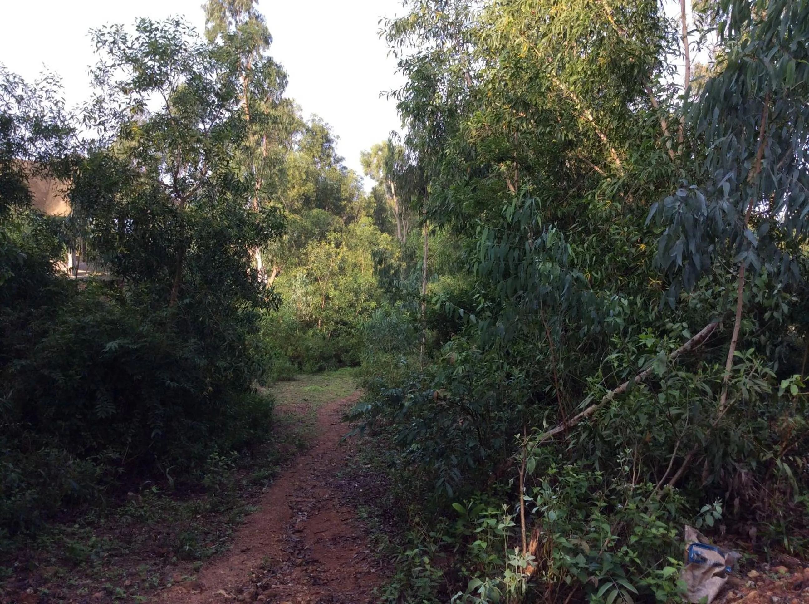 Natural landscape in Cham Island Smiles Homestay