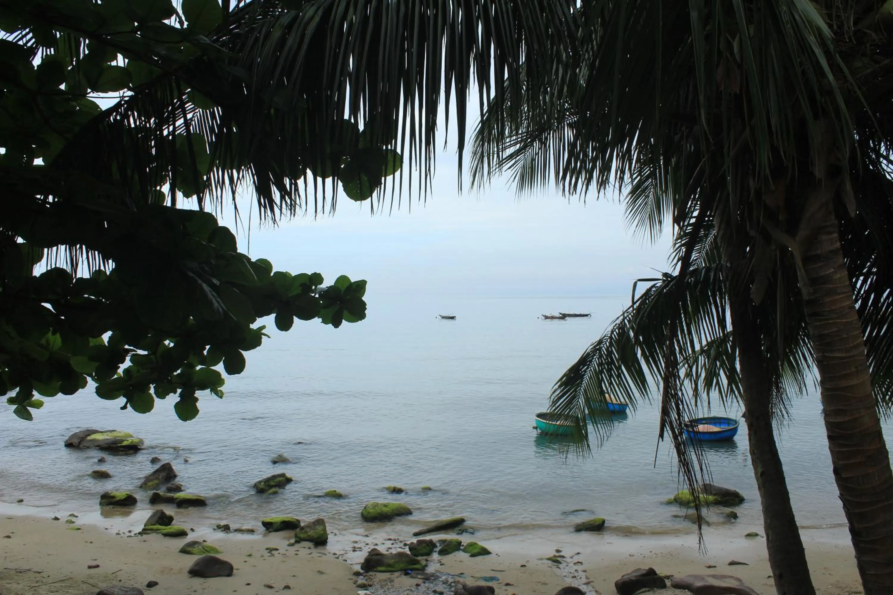 Neighbourhood in Cham Island Smiles Homestay