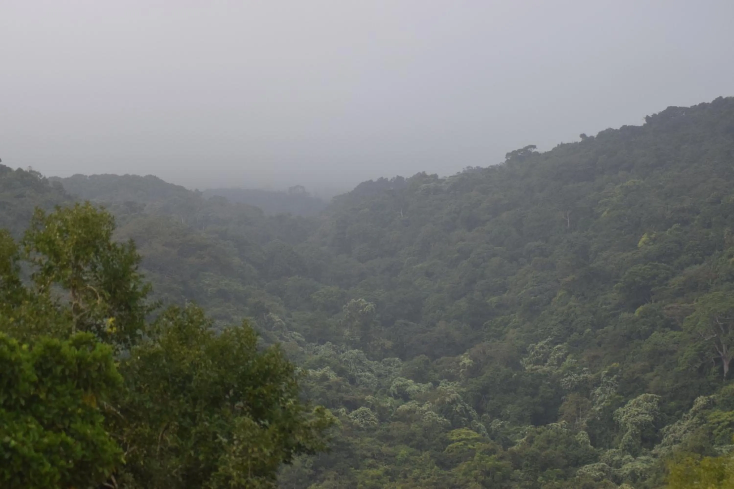 Natural landscape in Cham Island Smiles Homestay