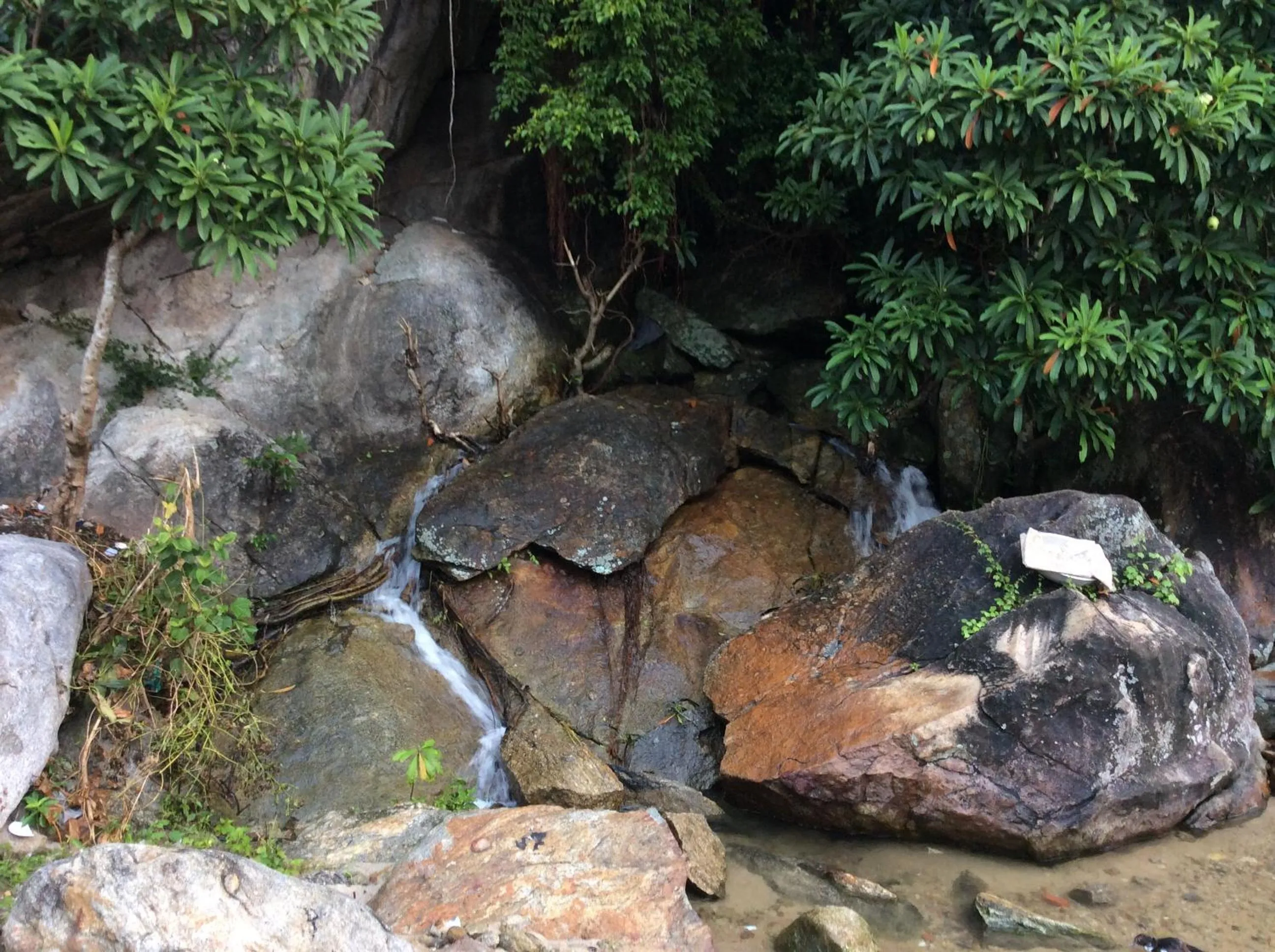 Natural landscape in Cham Island Smiles Homestay