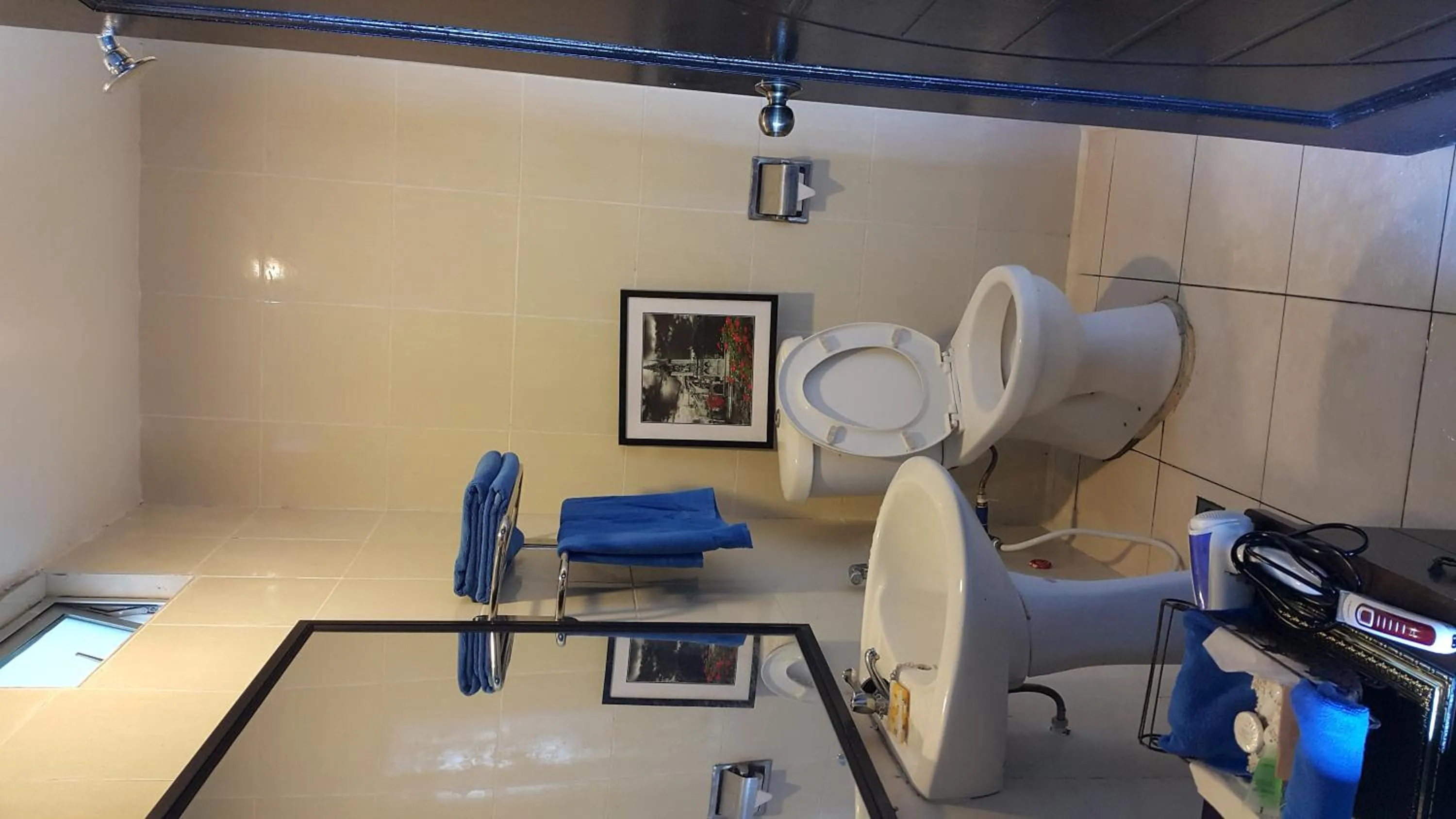 Toilet in Crystal Hill R