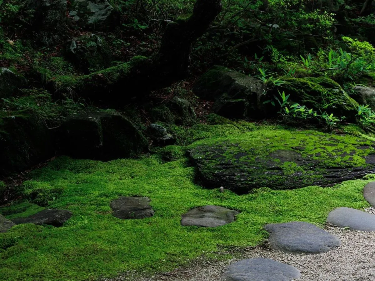 Lounge or bar in Suwa Grand Shrine Kameya Inn