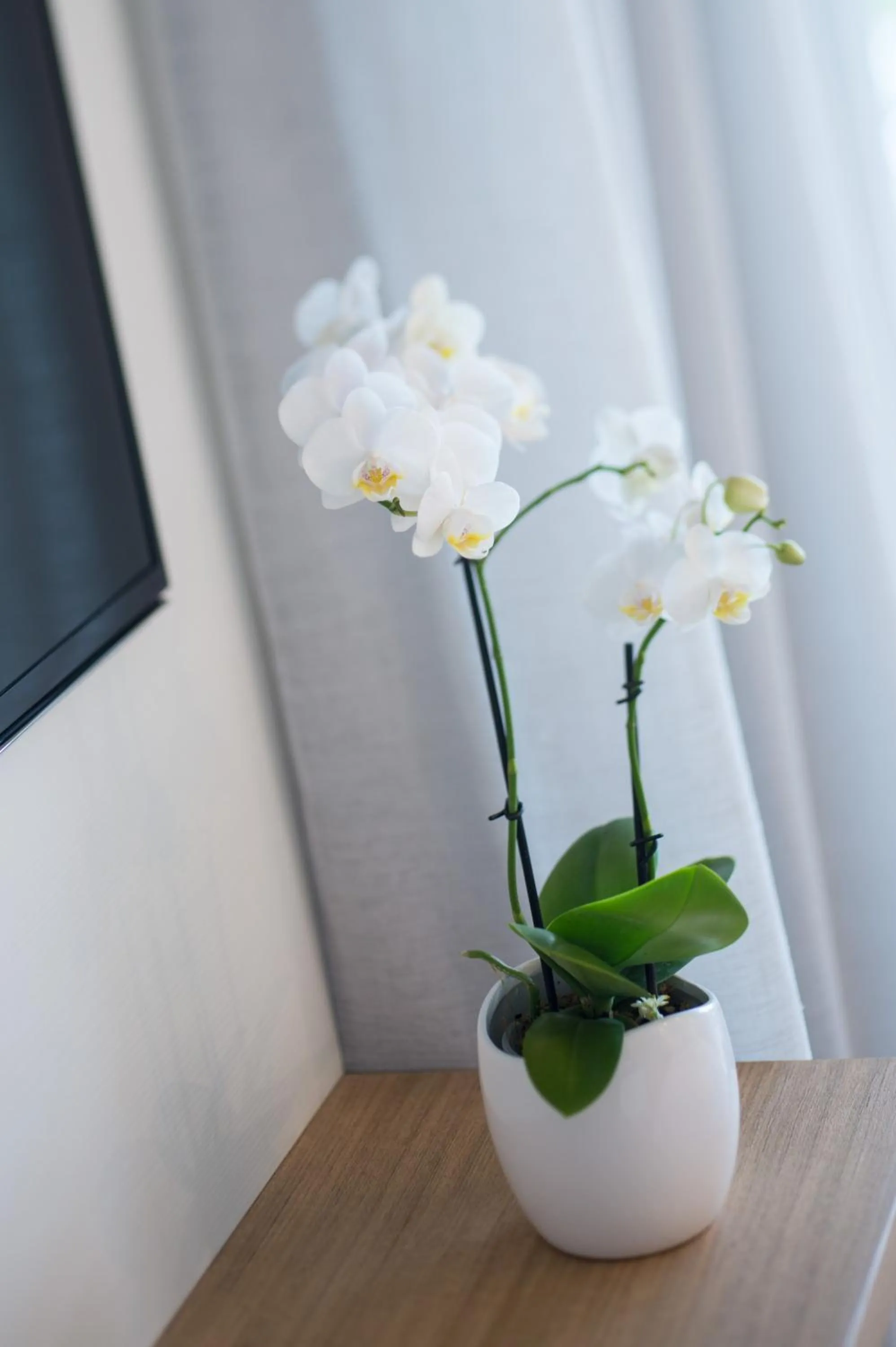 Decorative detail in Heart Hotel and Gallery Whitsundays